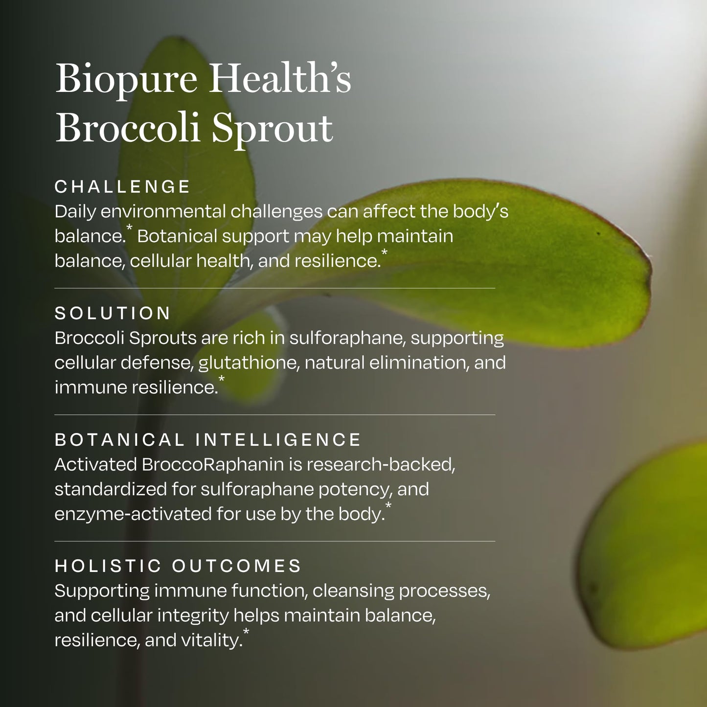 BioPure Broccoli Sprout Supplement Capsules, 90 Count