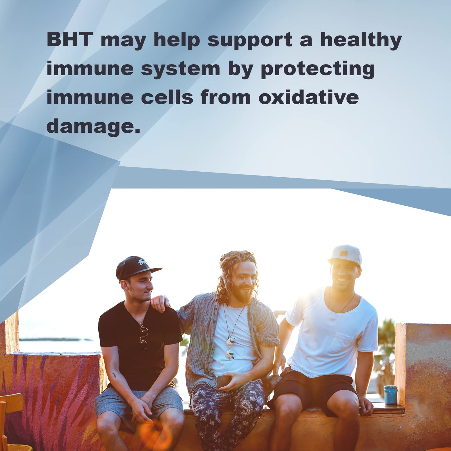 LifeLink BHT (Butylated Hydroxytoluene) 250 mg x 500 Capsules
