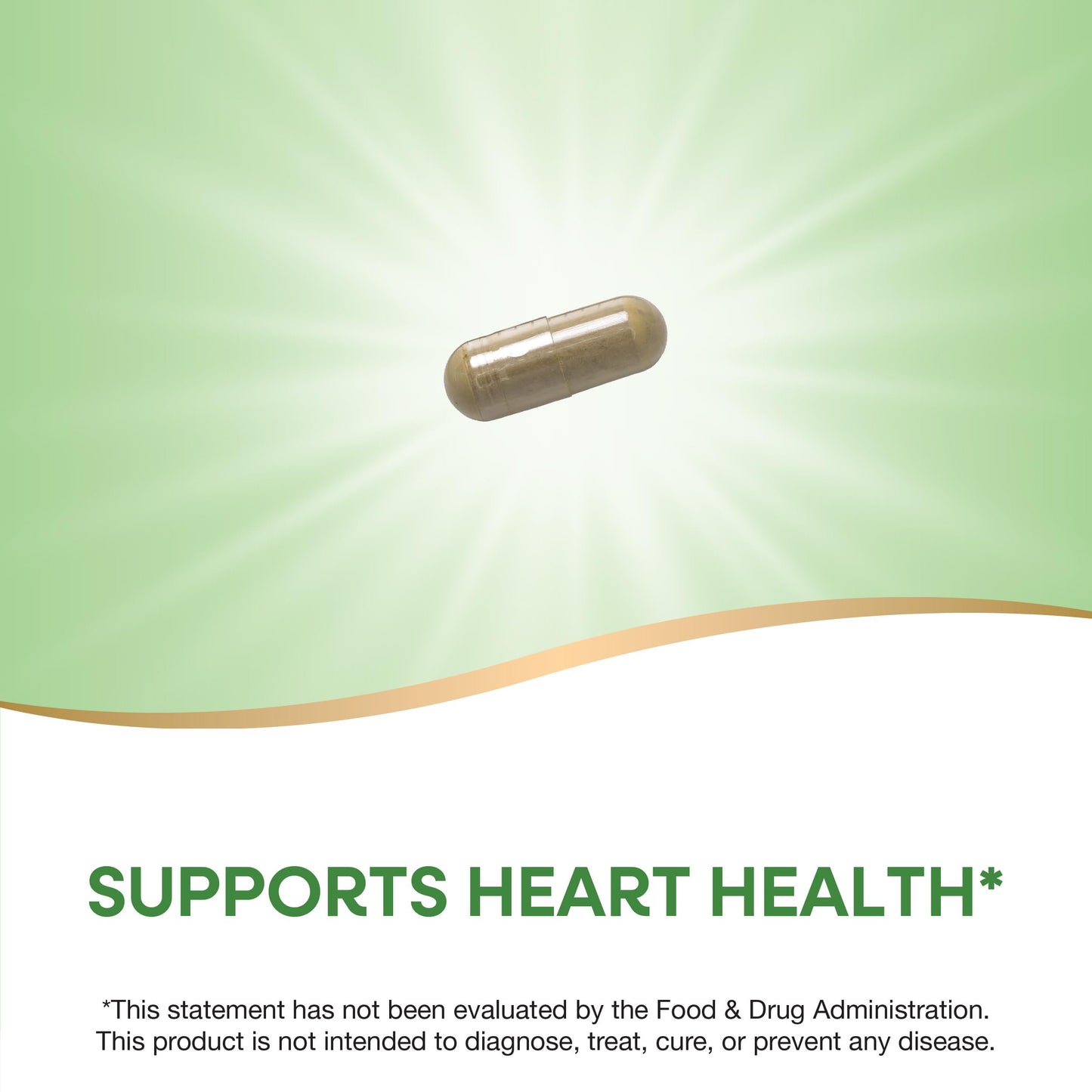 Nature's Way Olive Leaf Standardized Extract Capsules, 60 Count