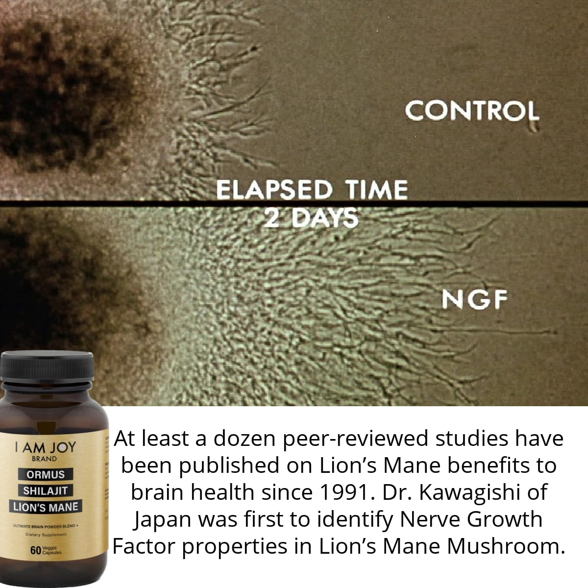 I Am Joy co. Ormus Shilajit Lion's Mane - Ultimate Brain Power! Monoatomic 24k Gold - The Only Blend of Its Kind for Energy, Memory, & Focus - 60 Vegan Capsules