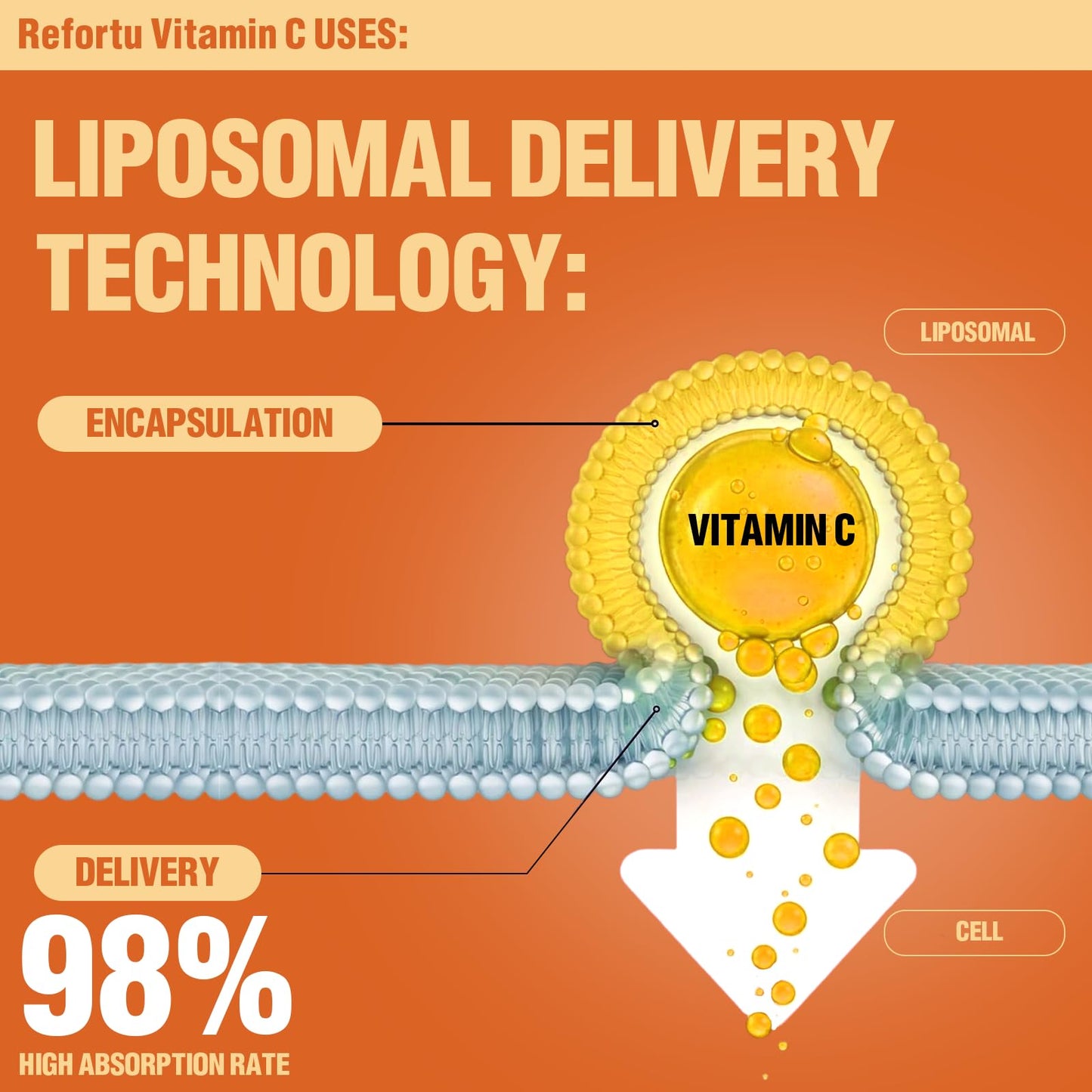 Refortu Liposomal Vitamin C 2000mg Gummies, 60 Count