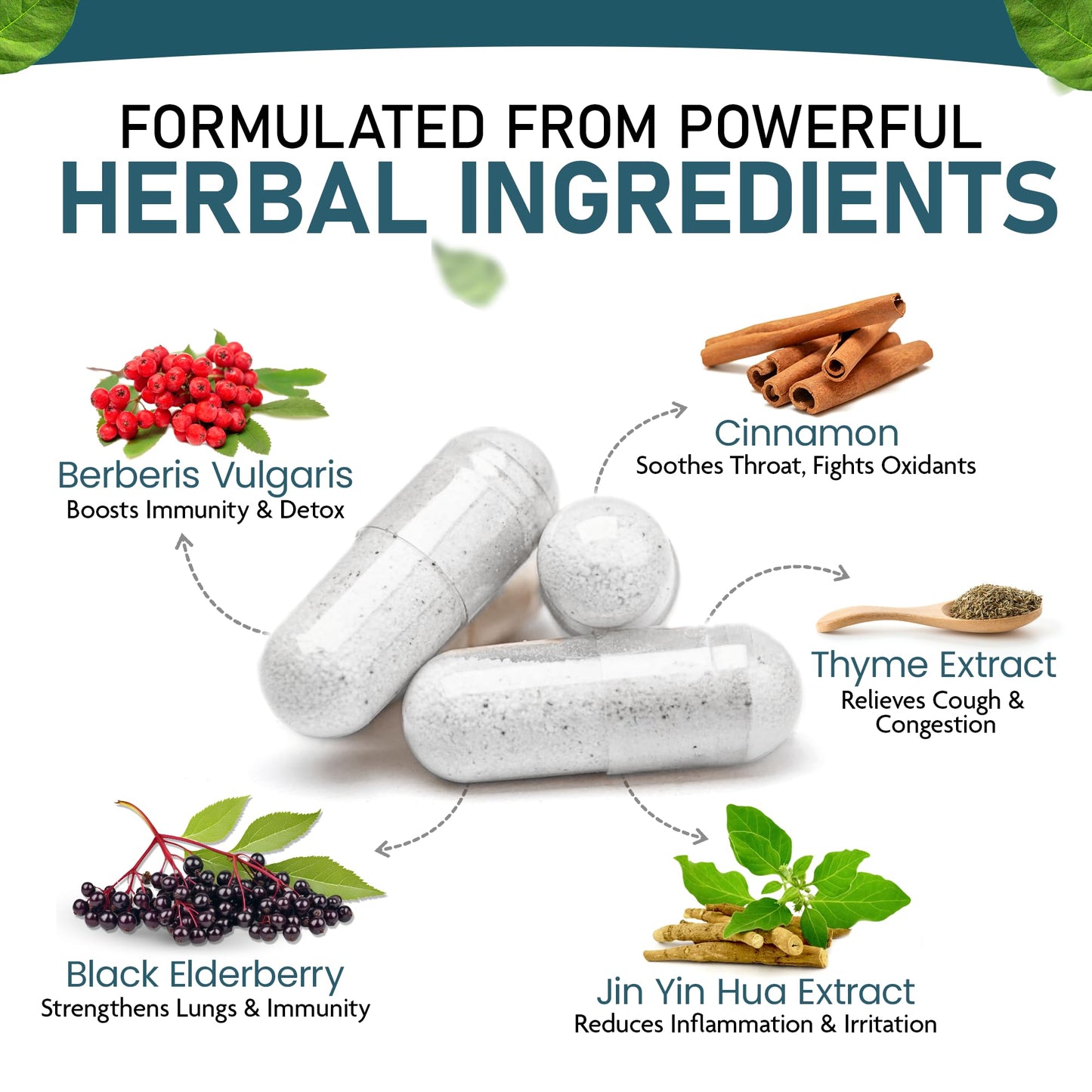Allbe BioCan Berberine and Cinnamon Capsules, 360 Capsules