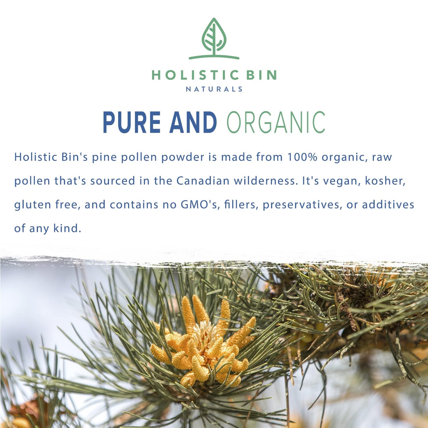 Holistic Bin Pine Pollen Powder, 0.71 Ounce