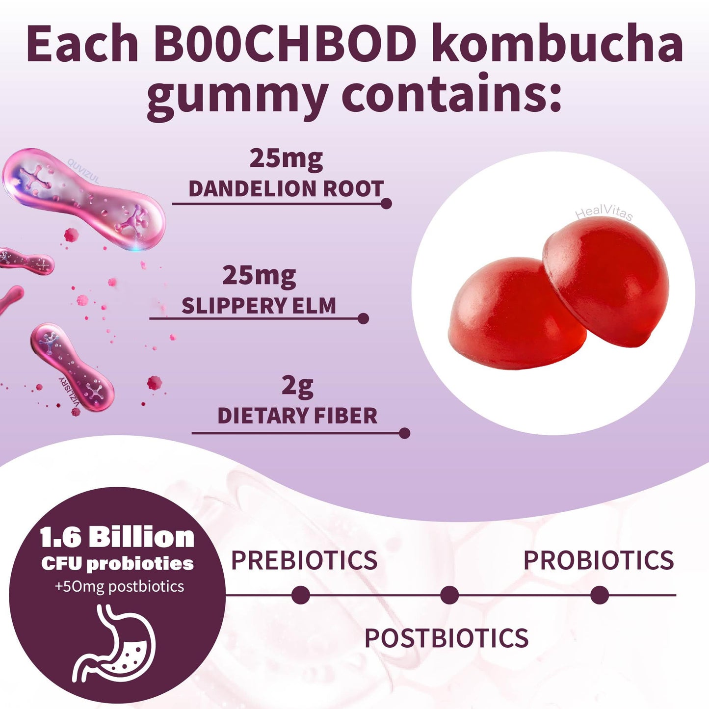 Feviarly Probiotic Kombucha Gummy Chewing sugar, Probiotic for Men and Women, with Prebiotic Probiotic and Postbiotic, Dandelion Root, Slippery Elm Bark, Supports Gut and Digestive Health, 7