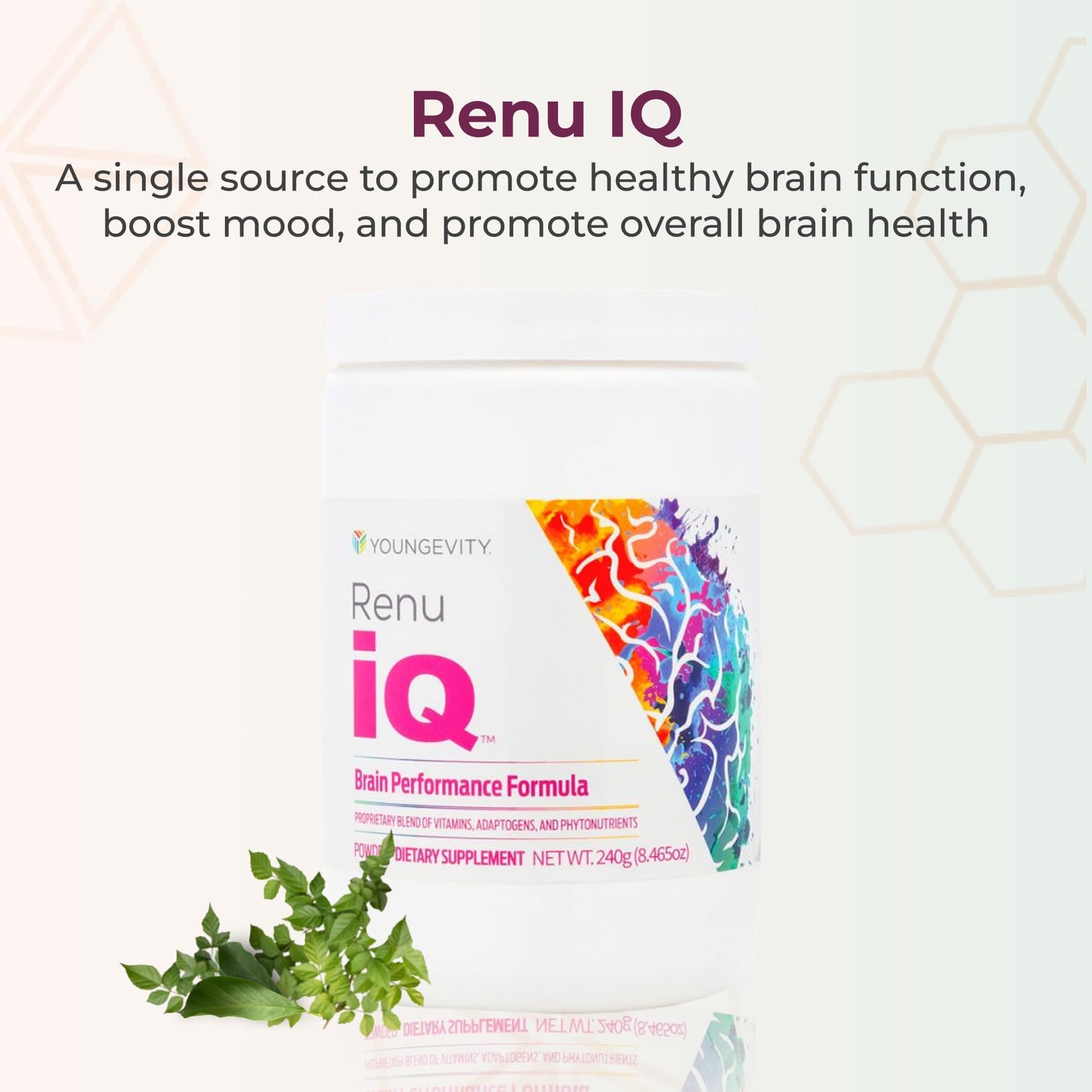 Youngevity Renu iQ Brain Boost, Anti-Aging Resveratrol with Grape Skin, Bacopa Monnieri, Rhodiola Root, Polygonum Cuspidatum Root - Natural Energy Powder, 11 Ounces