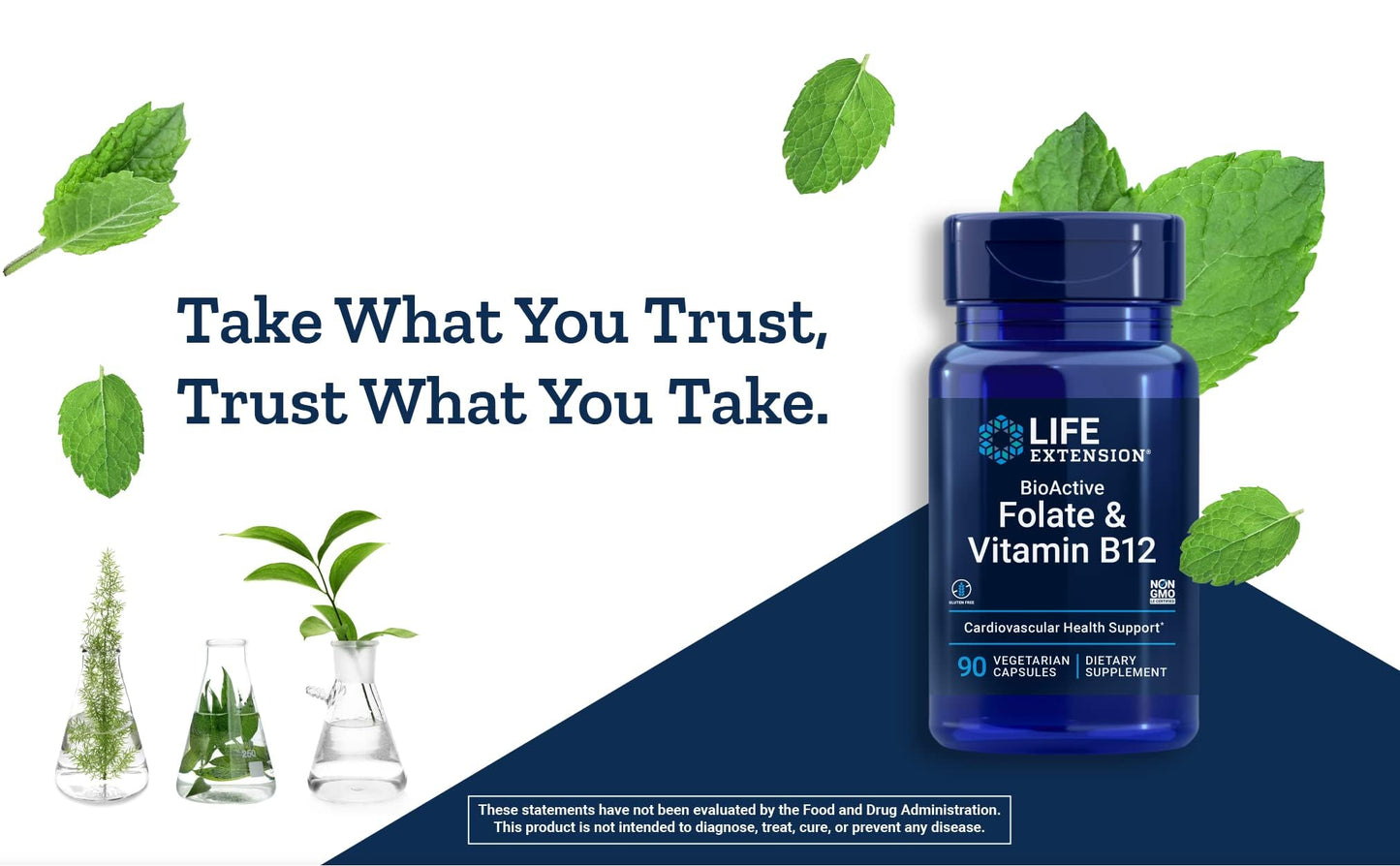 Life Extension BioActive Folate & Vitamin B12 Capsules 300 Count