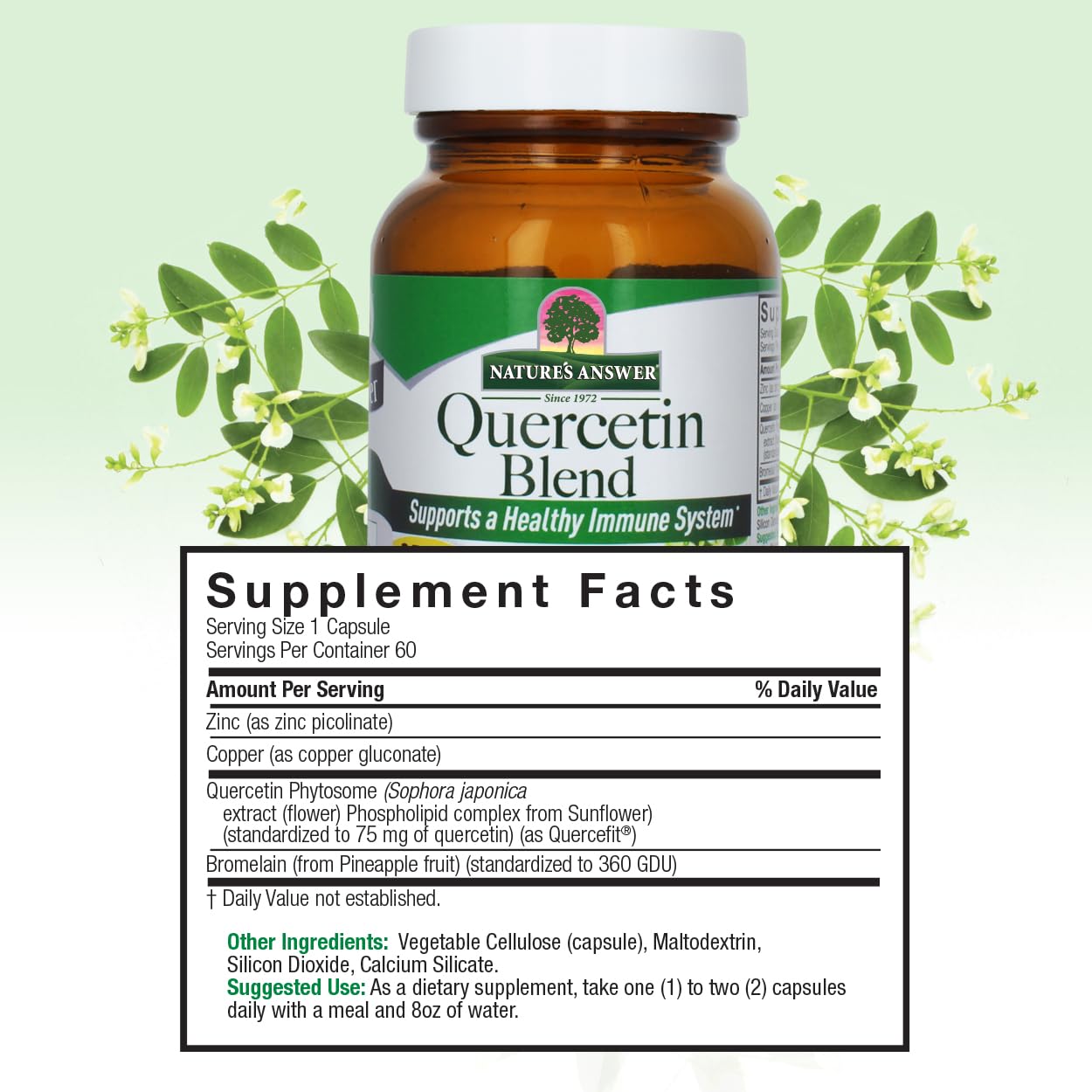 Nature's Answer Quercetin Blend Capsules 60 Capsules