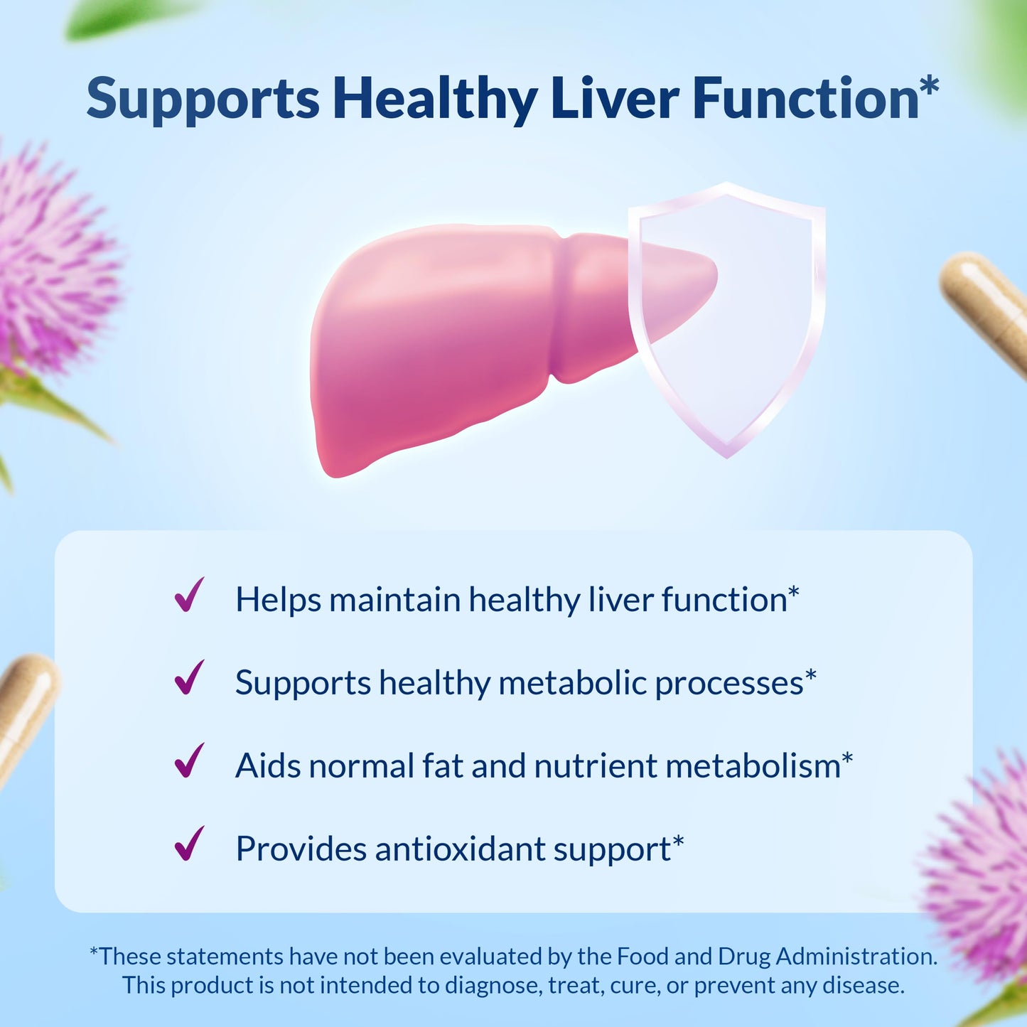 Natural Wellness Milk Thistle Liver Support Capsules, 90 Count