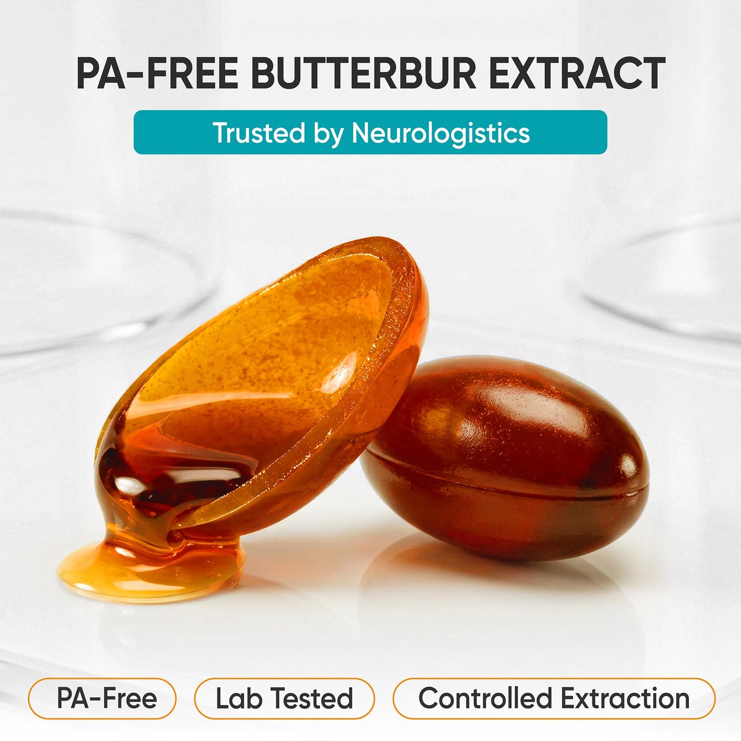 Migradolex Petasin 75 mg Patented Butterbur Extract PA-Free Standardized 15% Petasins (Petasin & Isopetasin) Migraine & Head Comfort Support High Bioavailability 60 Capsules