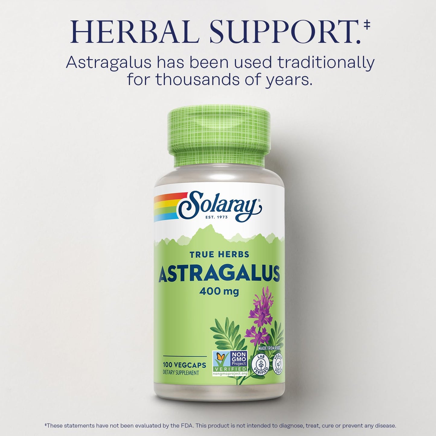 SOLARAY Astragalus Root 400mg – Traditional Herbal Support Capsule, 100 Count