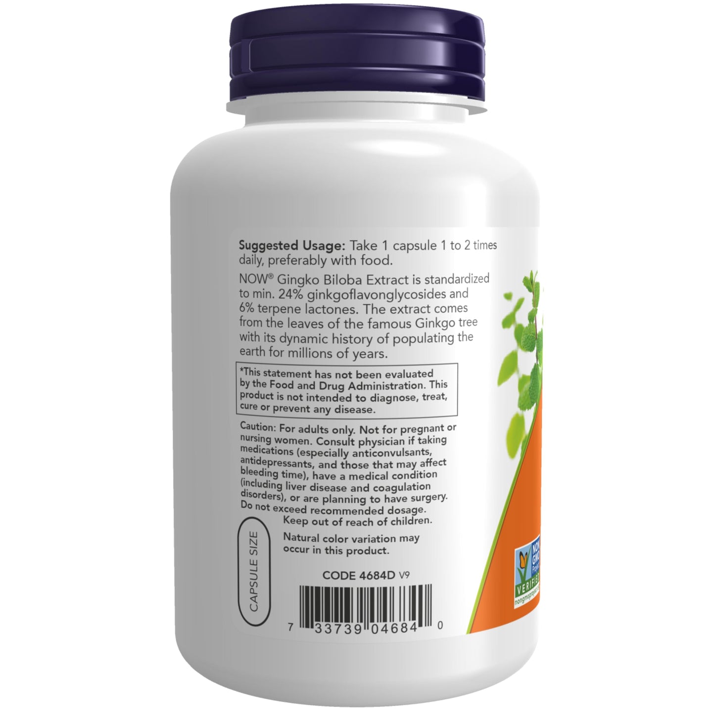 NOW Foods Ginkgo Biloba 60 mg, 24% Standardized Extract Capsule, 240 Veg Capsules
