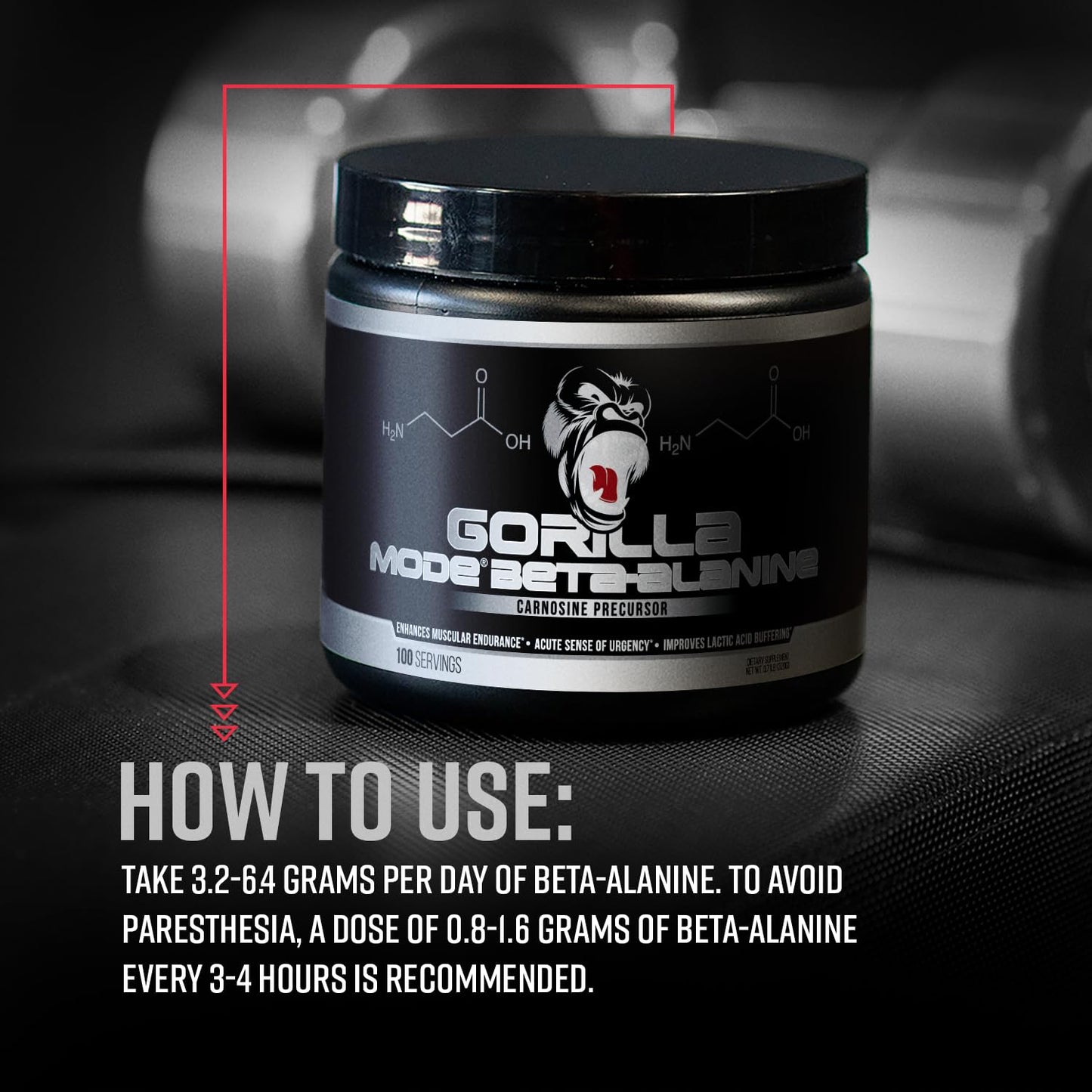 Gorilla Mind Beta-Alanine Carnosine Precursor Powder, 6.77 Ounce