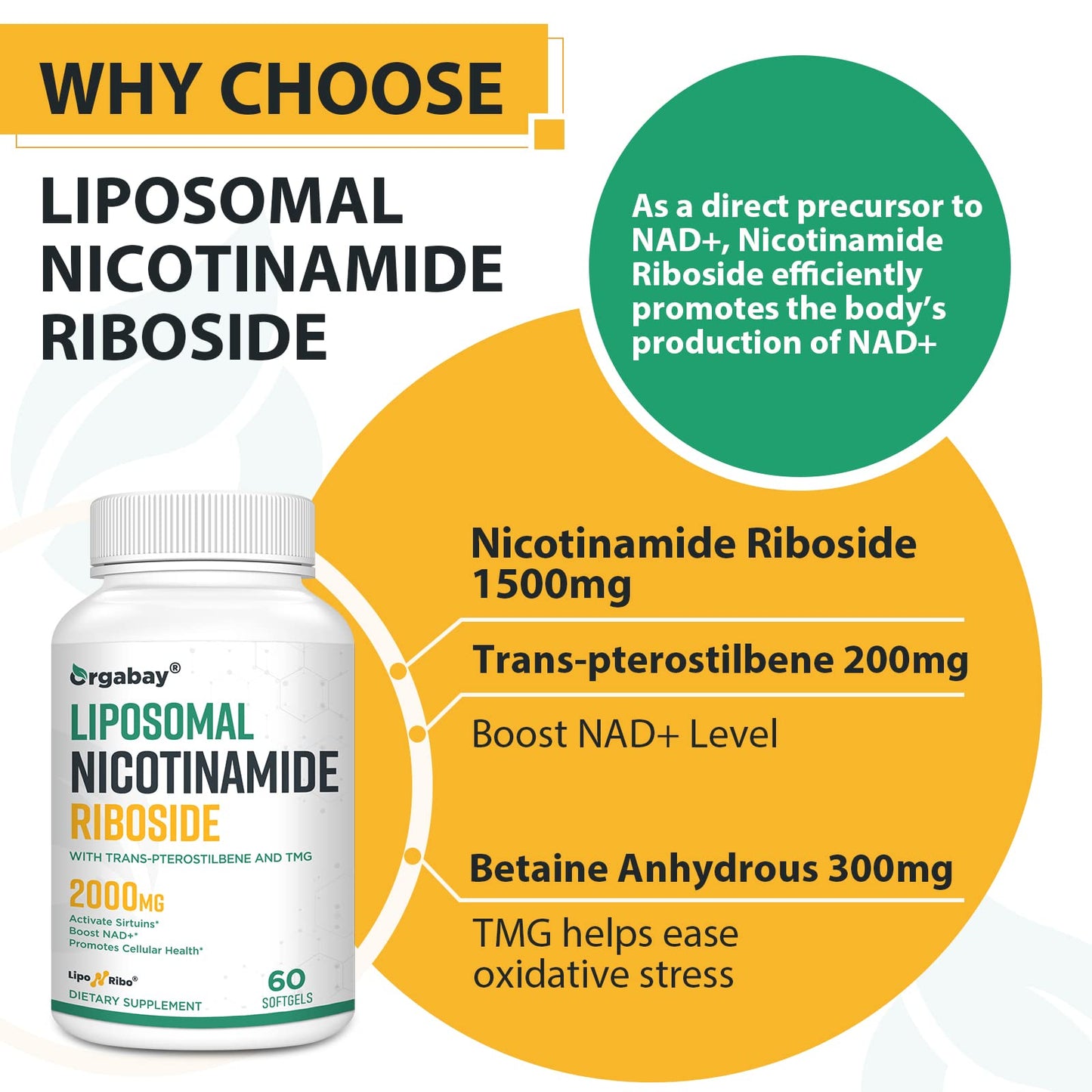 Orgabay Liposomal Nicotinamide Riboside 2000 MG with TMG and Pterostilbene Softgels, 120 Count