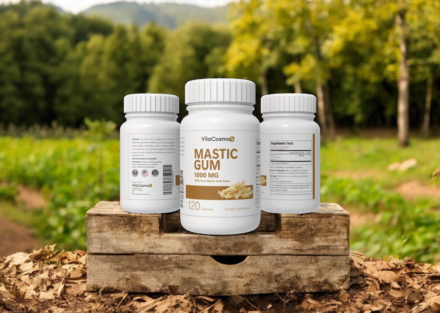 VitaCosmoX Mastic Gum Capsules, 1000 mg, 120 Capsules