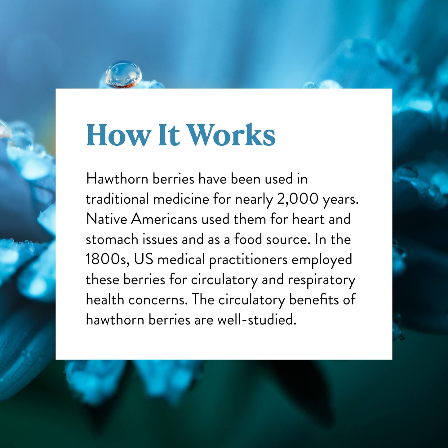 Nature's Sunshine Hawthorn Berries Capsules 100