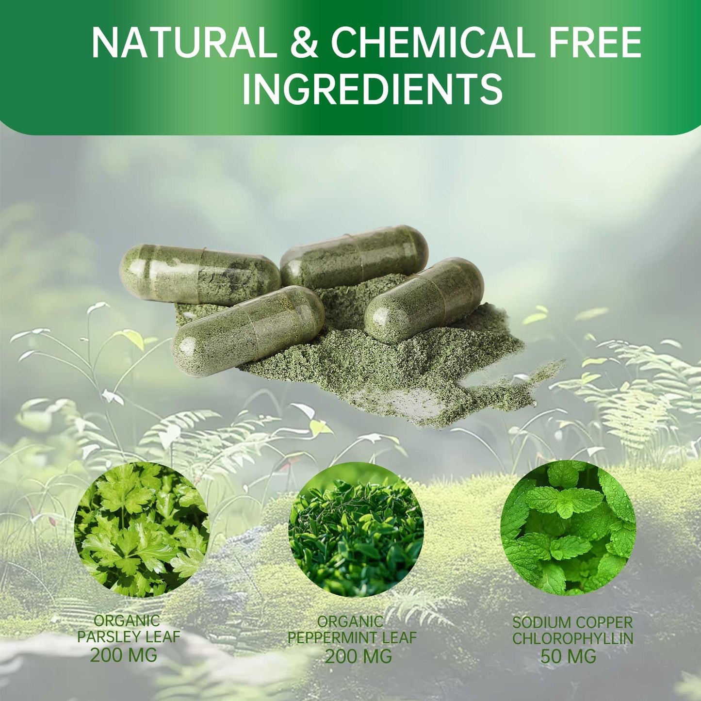 E-Bes Body Deodorant Capsules, Chlorophyll Herbal Supplement, 1 Capsule