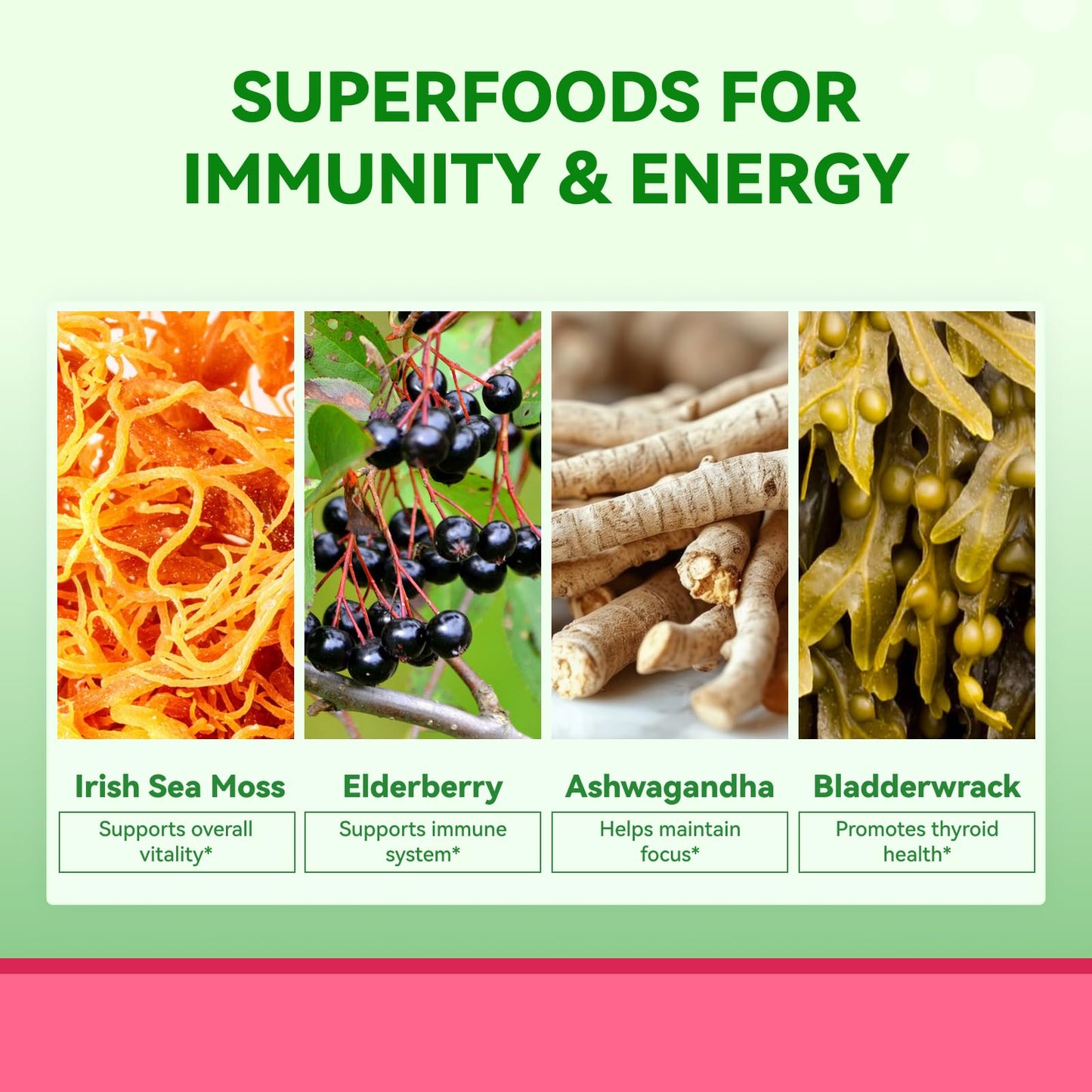 Inner Brightness Sea Moss 4000mg Gummies with Ashwagandha, Elderberry, Apple Cider Vinegar, Bladderwrack, Burdock Root – Immune Support – Mixed Berry Flavor – 60 Count