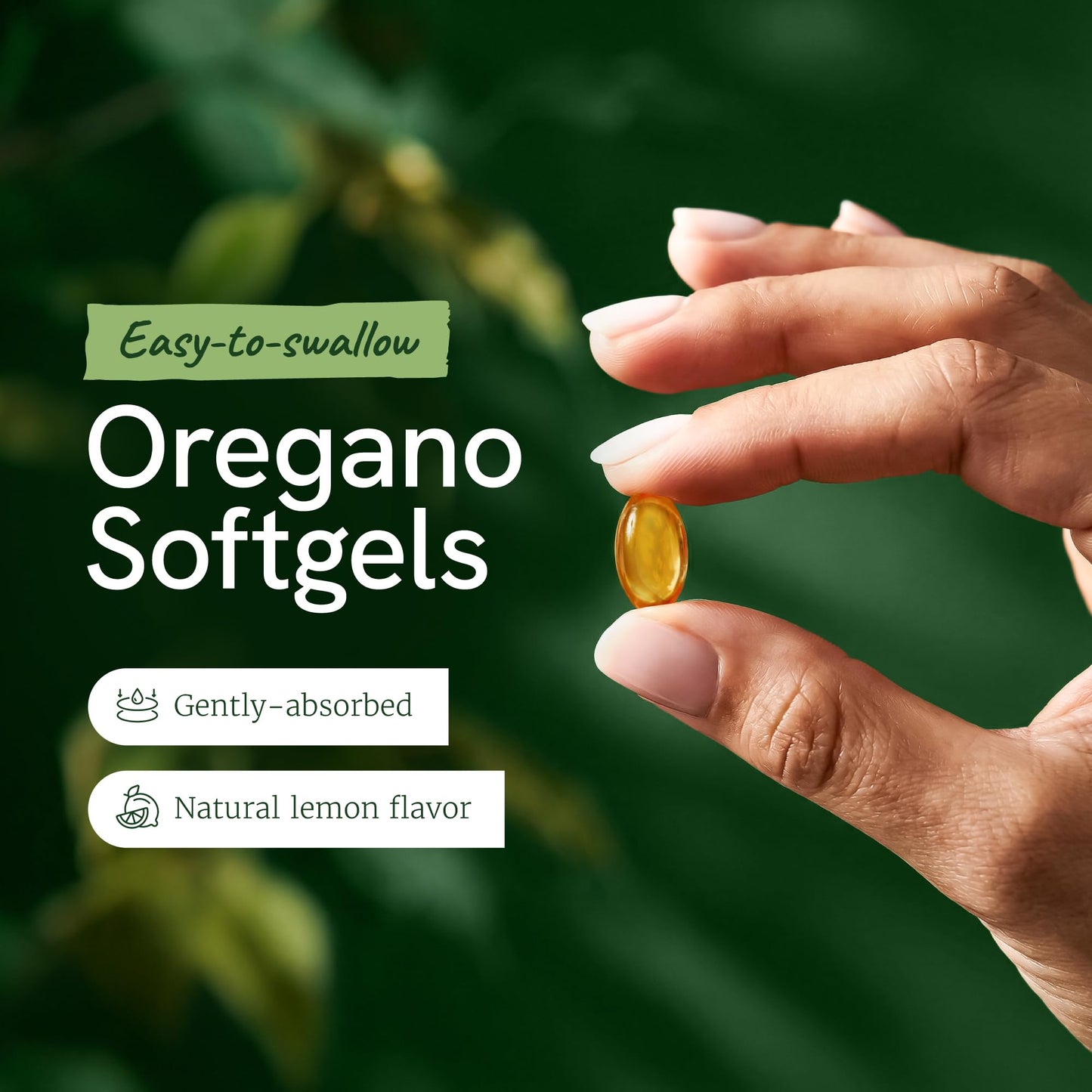 Nobi Nutrition Oil of Oregano with Black Seed Oil Softgels, 120 Count