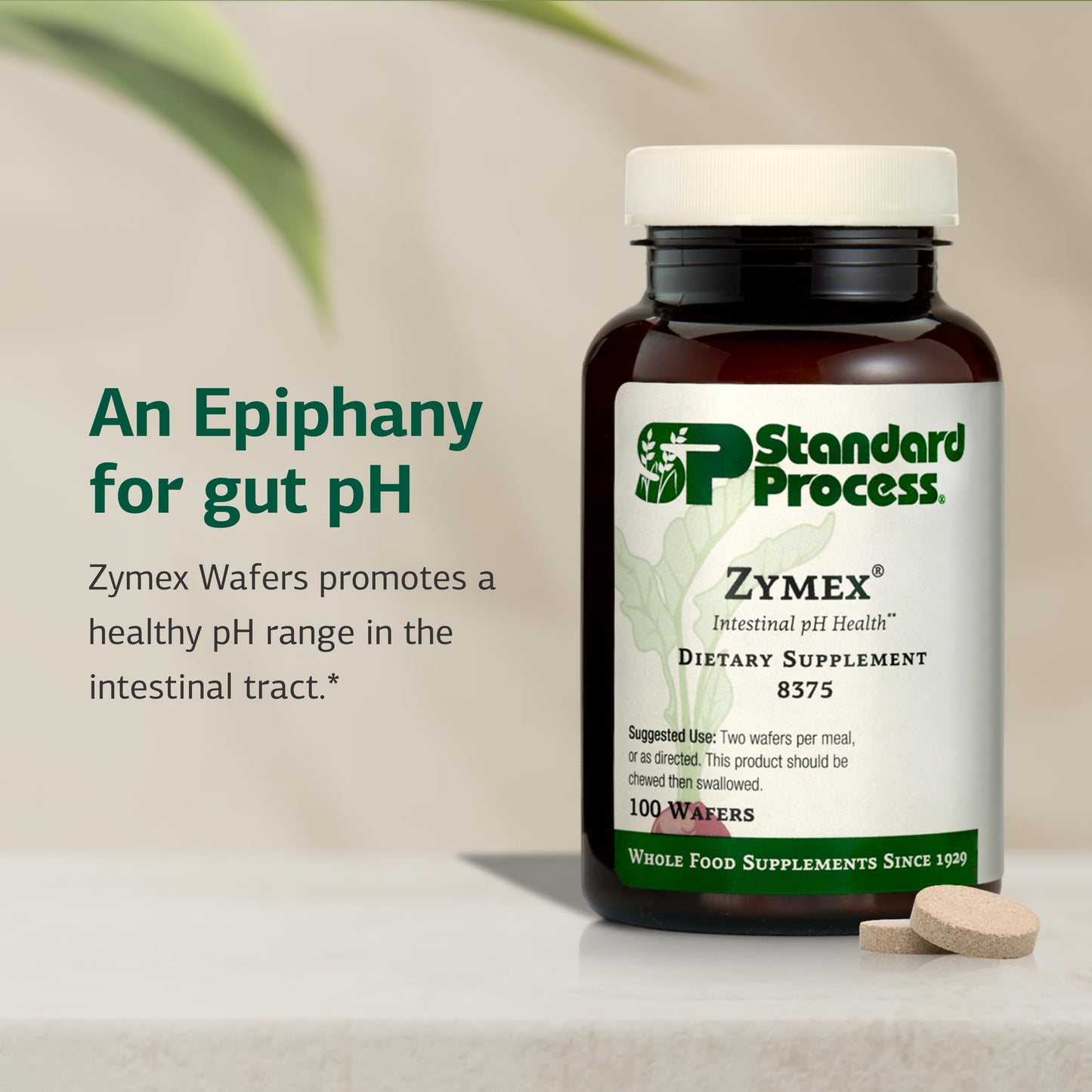 Standard Process Inc. Zymex Wafers Digestive & Gut Health - Provides pH & Intestinal Tract Support - Vegetarian & Non-Soy, 100 Tablets