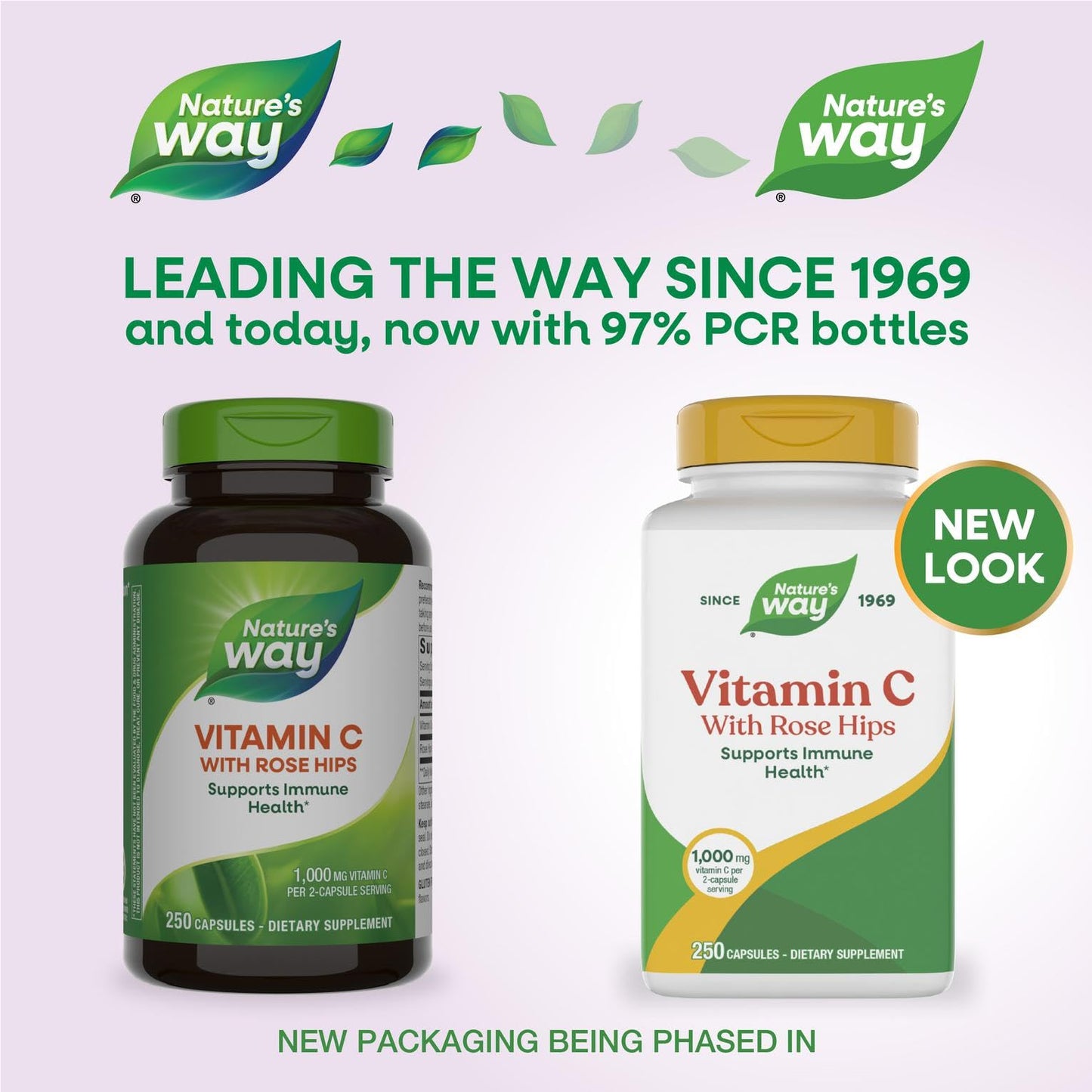 Nature's Way Vitamin C with Rose Hips Capsules, 250 Count