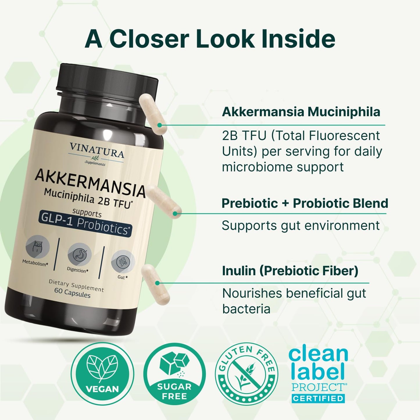 VINATURA Akkermansia Probiotic Capsule, 60 Capsules