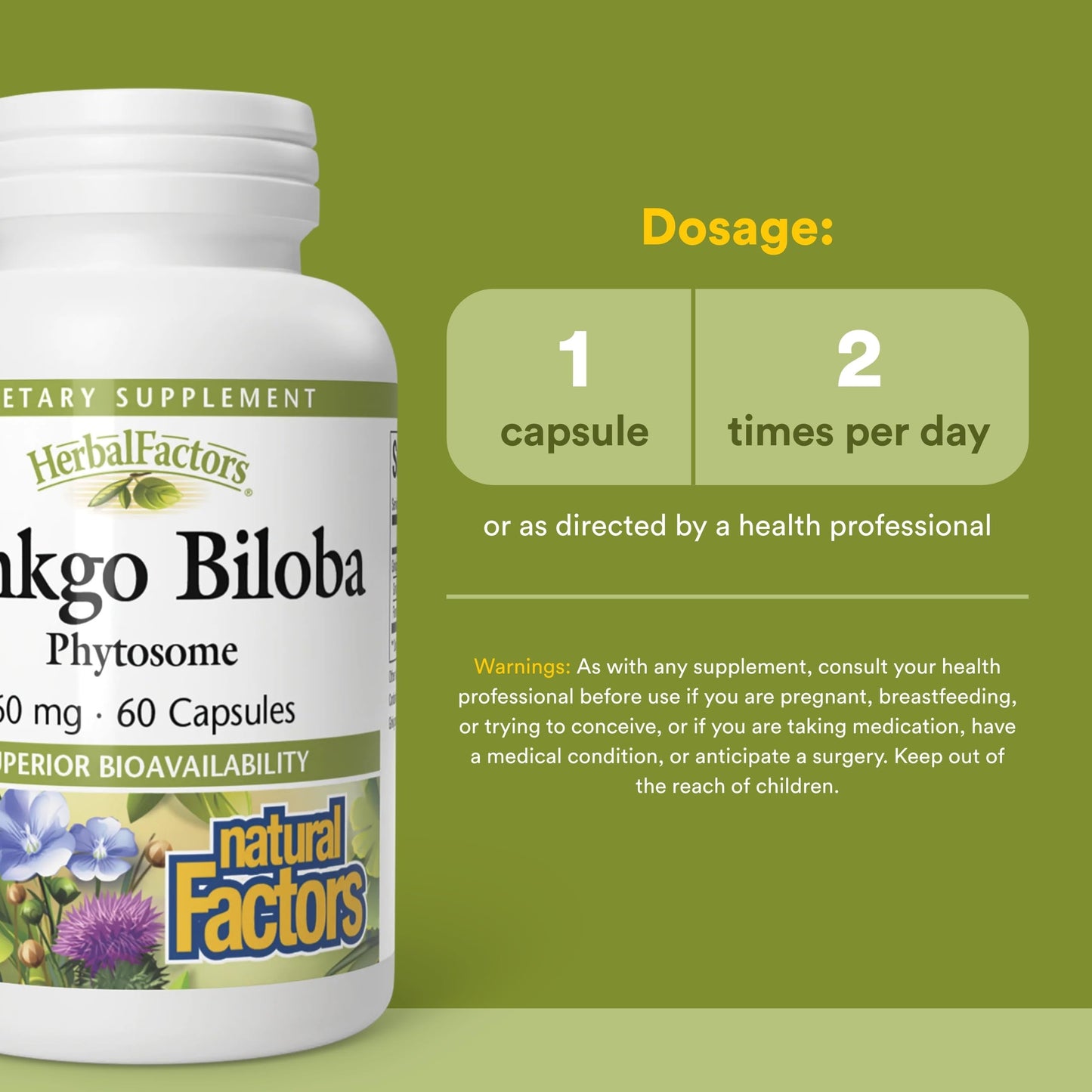 Natural Factors Ginkgo Biloba Phytosome Capsules, 60 Capsules