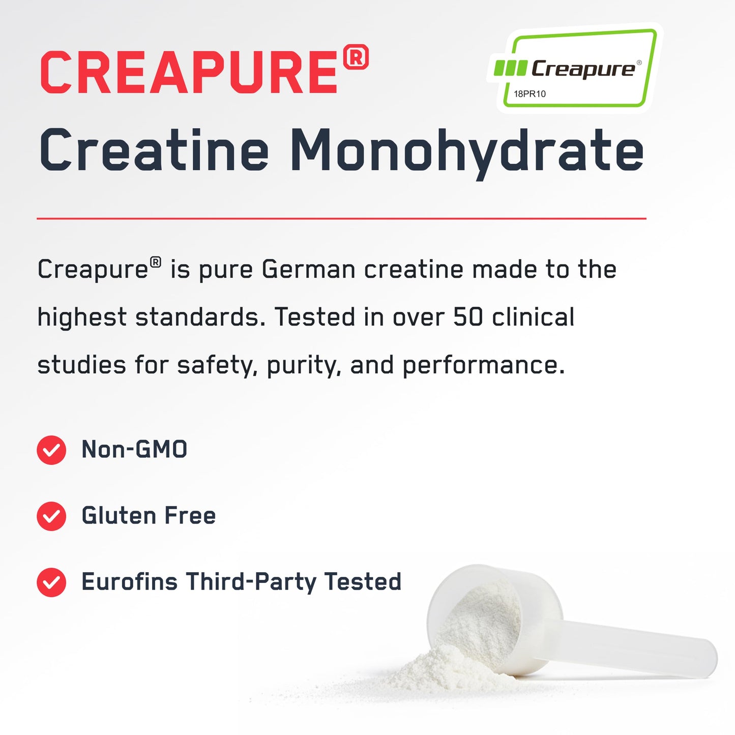 SteelFit Creapure Pure Creatine Monohydrate Powder, 6 oz