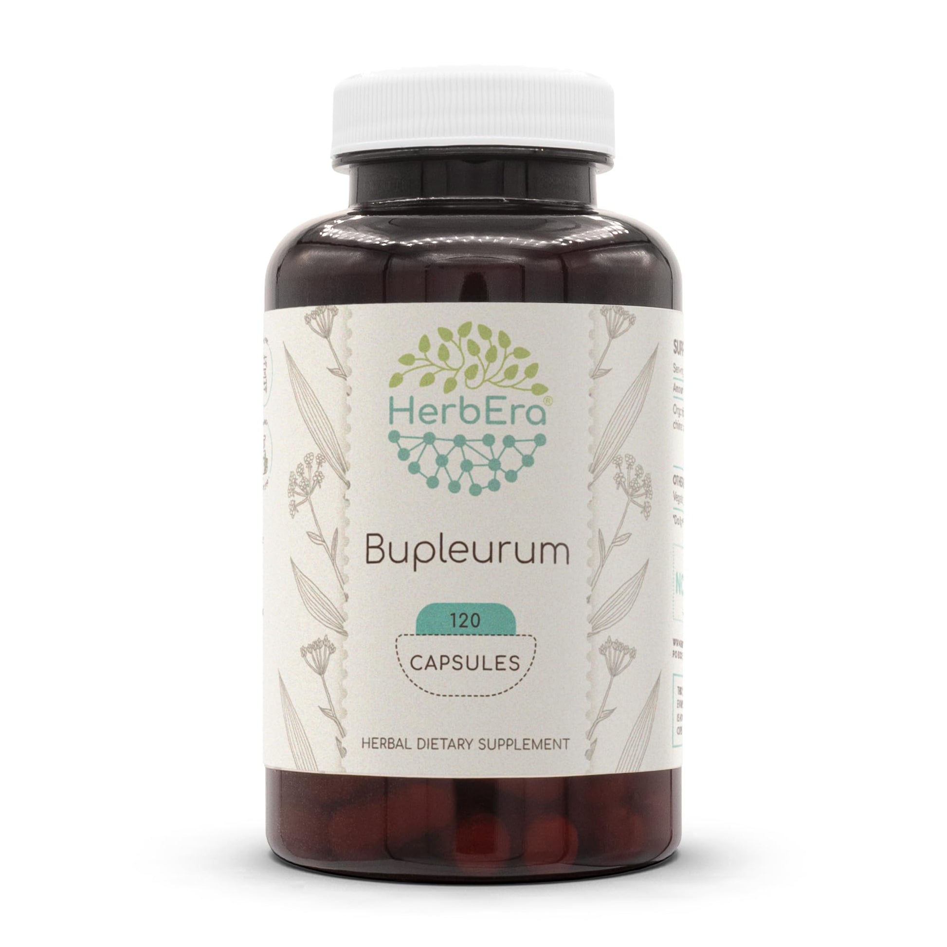HerbEra Bupleurum Chinense Dried Root 500 mg Capsules, 120 Count