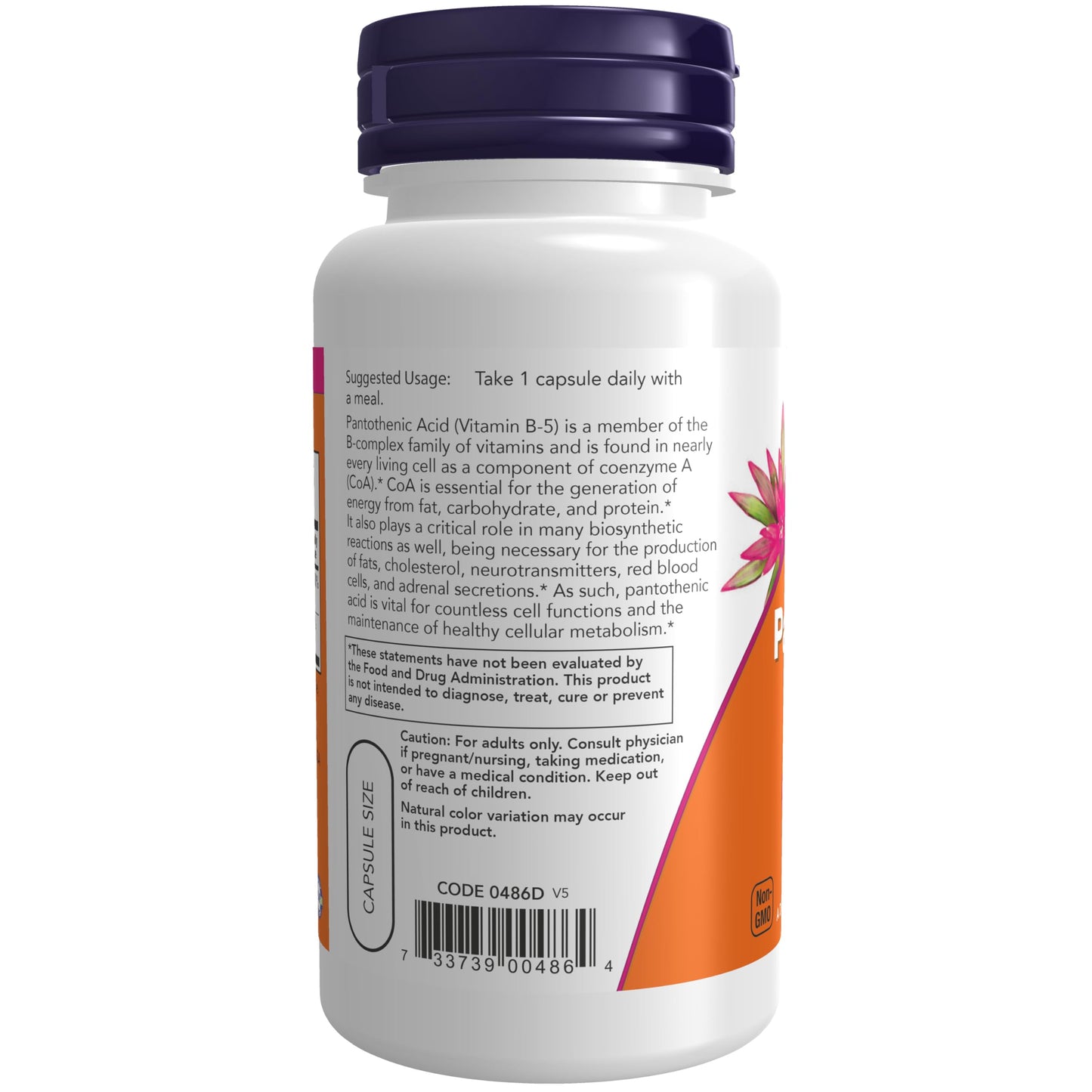 NOW Foods Pantothenic Acid (Vitamin B-5) 500 mg, B-Complex Vitamin, 100 Capsules
