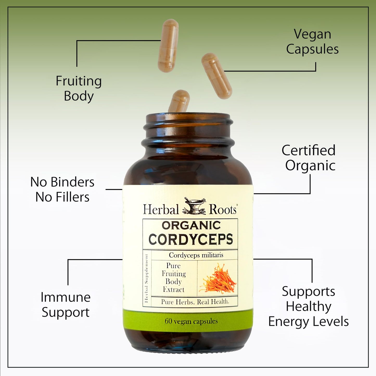 Herbal Roots Cordyceps Fruiting Body Extract Mushroom Capsules 60 Capsules