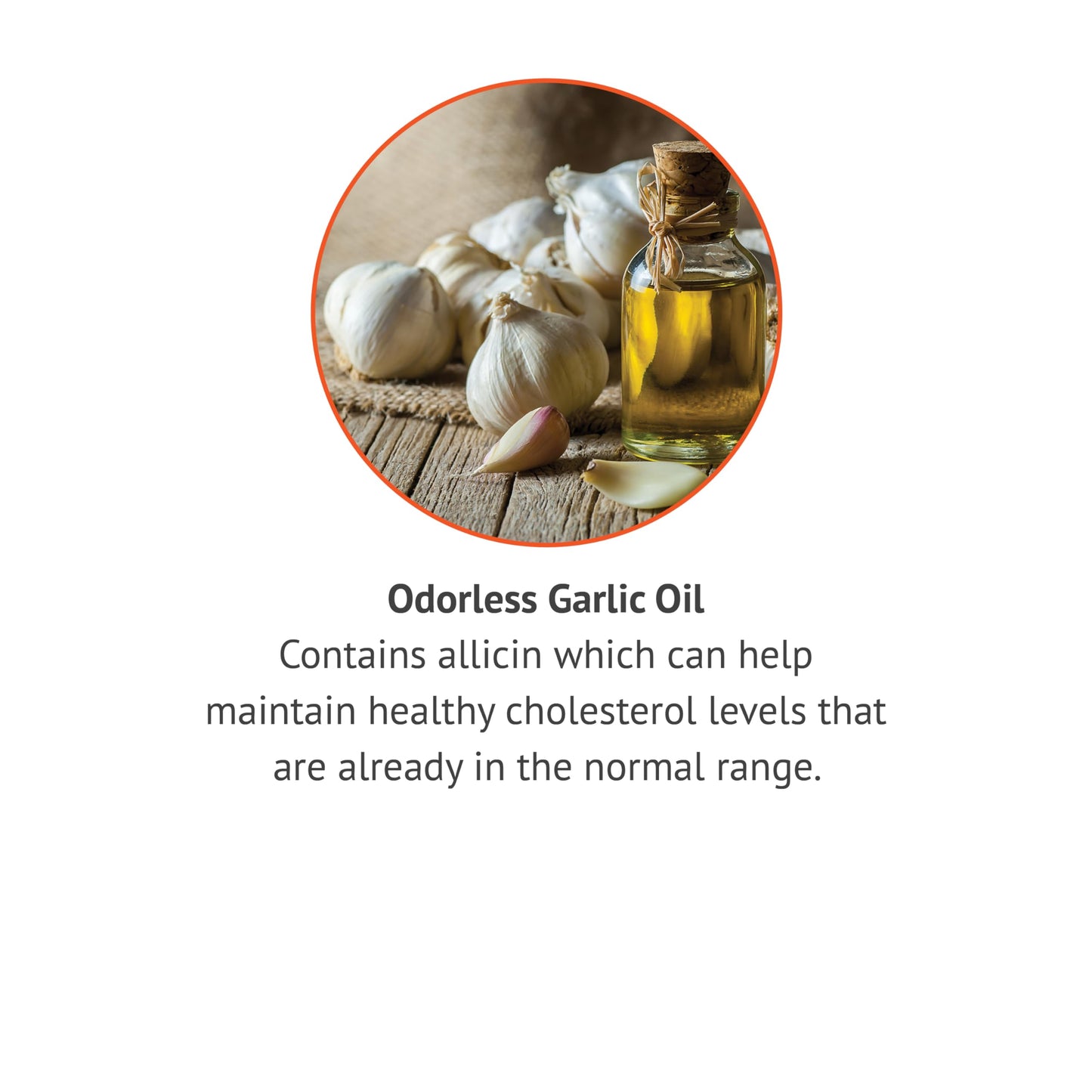 Botanic Choice Odorless Garlic Oil Softgels 180 Count