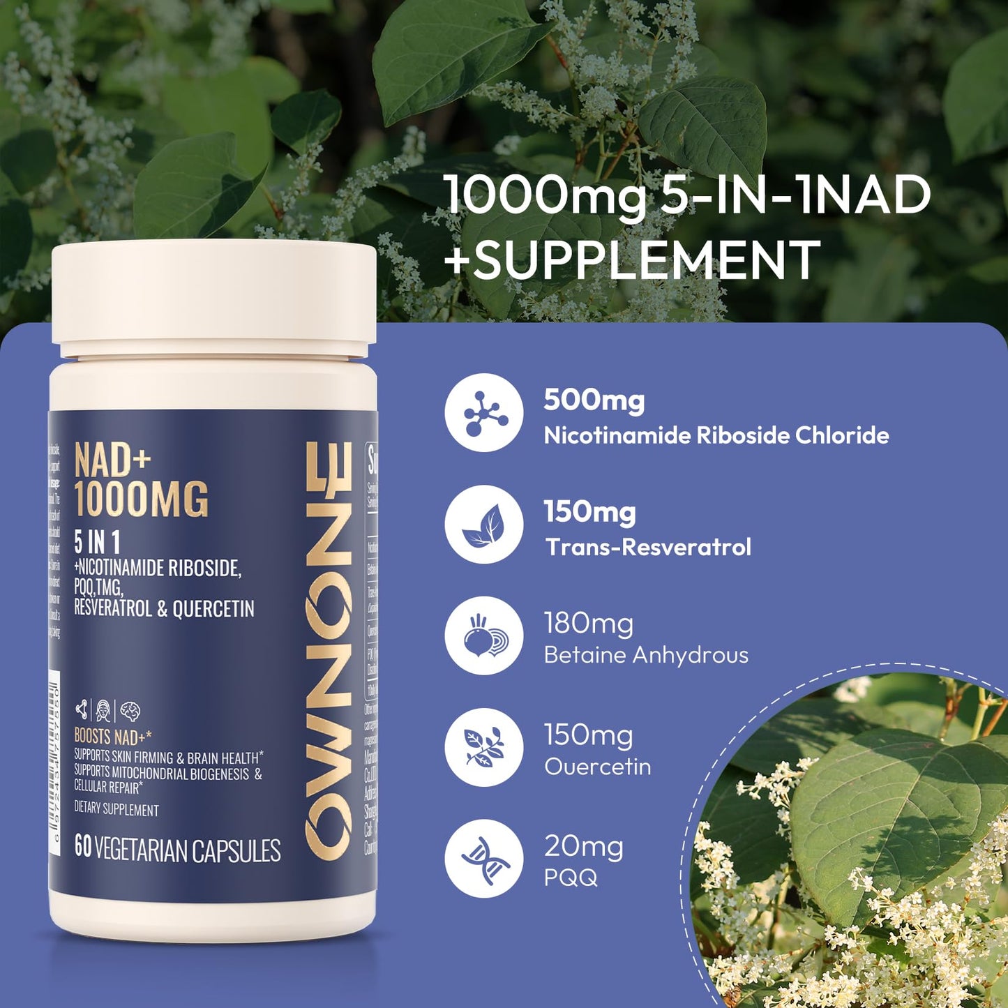 OWNONE NAD+ Capsule with Nicotinamide Riboside, Resveratrol, Quercetin, Vegetarian NAD Capsule, Healthy Aging, 120 Capsules