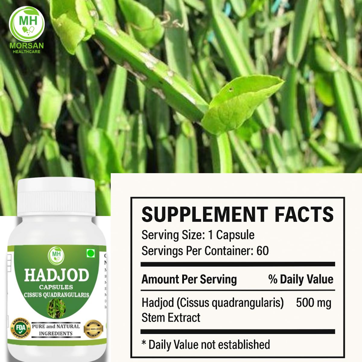 Morsan Healthcare Hadjod (Cissus Quadrangularis) 60 Capsules