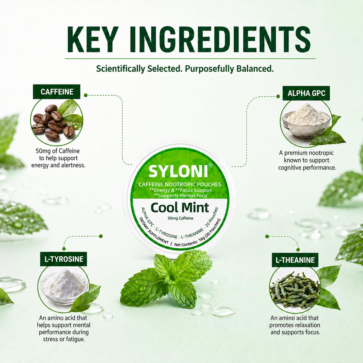 Syloni Caffeine Nootropic Pouches Variety Pack Powder 10