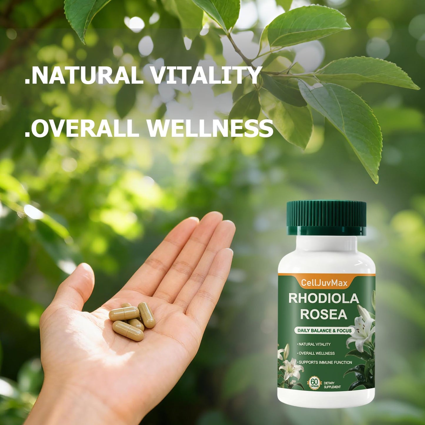 PBZPBZ Rhodiola Rosea 500mg Capsules, 1 Count