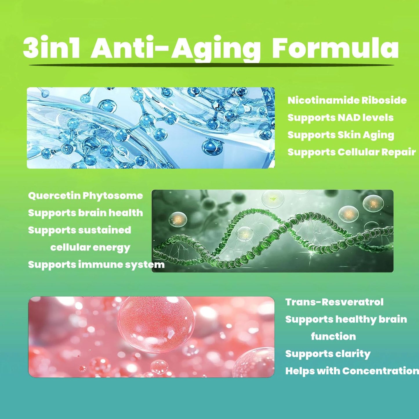 Renyqatt NAD+ Supplement - Liposomal Nicotinamide Riboside - Anti-Aging, Energy, Focus Capsules, 1 Count