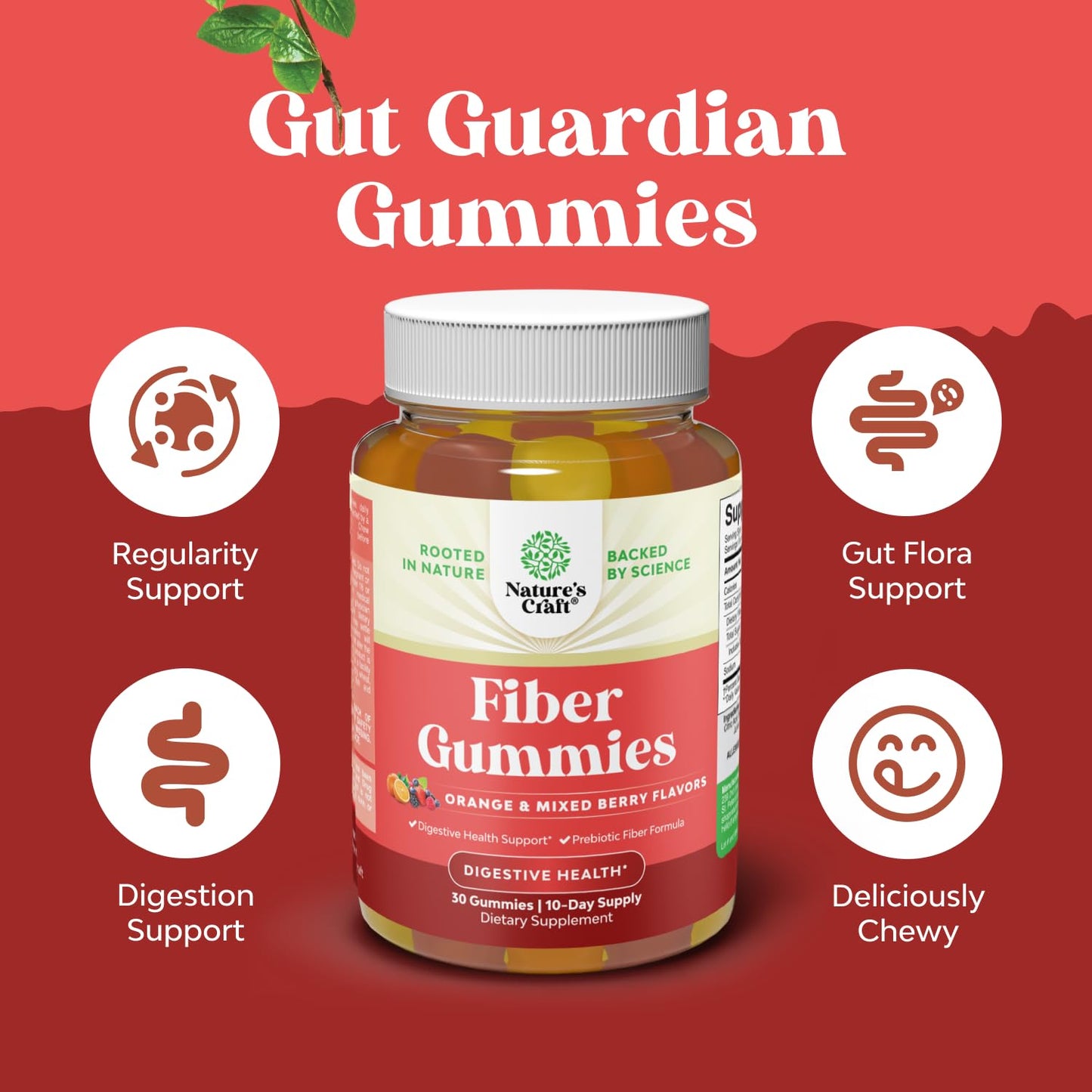 Natures Craft Tasty Prebiotic Fiber Gummy for Adults - High Fiber Supplement with Prebiotic Soluble Chicory Root for Immunity and Digestive Support, Non-GMO, Vegan, Halal, 60 Count