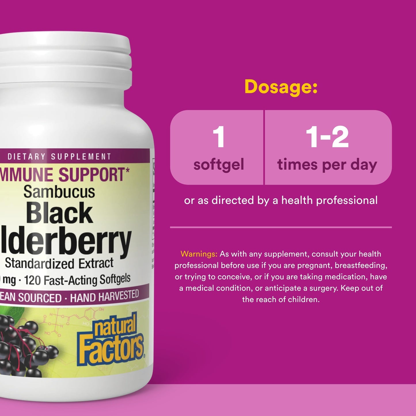 Natural Factors Sambucus Black Elderberry Standardized Extract Softgels 120