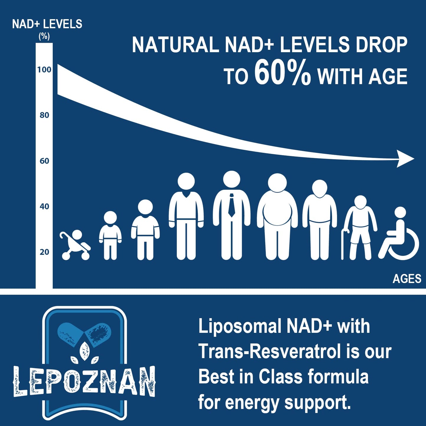 Lepoznan Liposomal NAD+ 500 mg + Trans-Resveratrol 300 mg Softgels, 120 Count