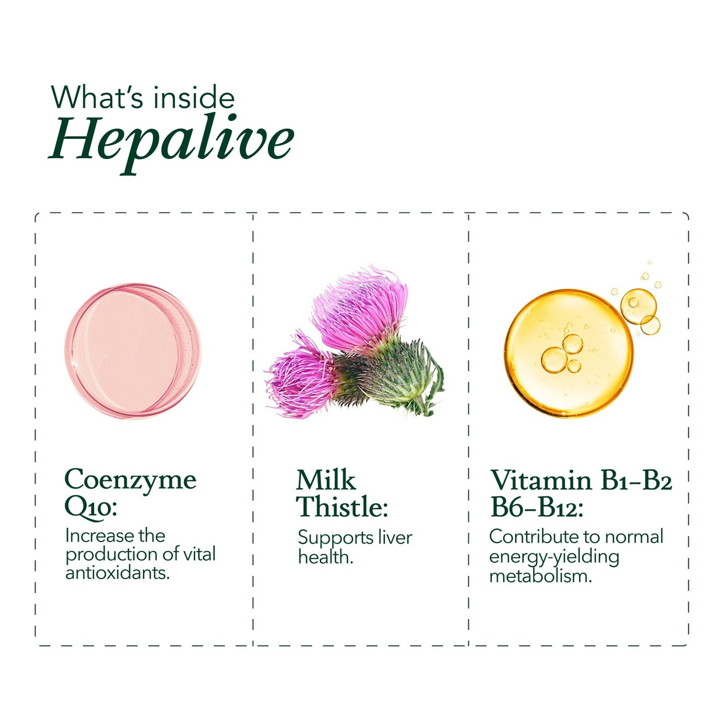 Vall Natural Products Hepalive Liver Support Supplement Capsule, 40 Count