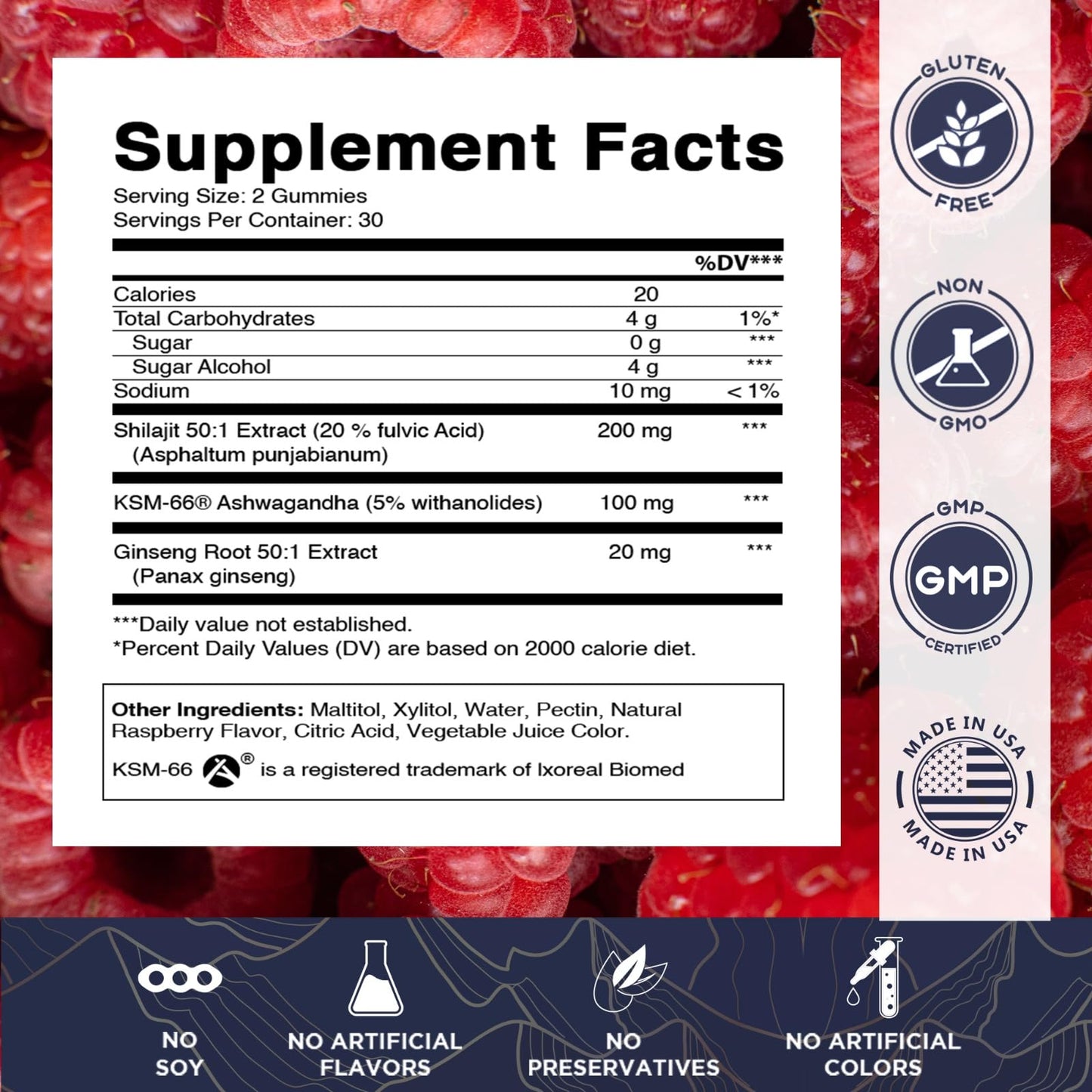 Vitamatic Shilajit with KSM-66 Ashwagandha & Ginseng Extract Gummies, 60 Count
