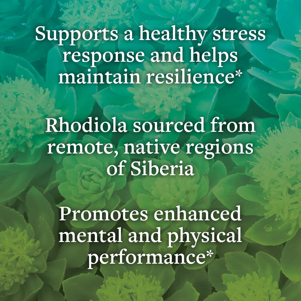 kokora Rhodiola Rosea Extra Strength Capsules 60 Count