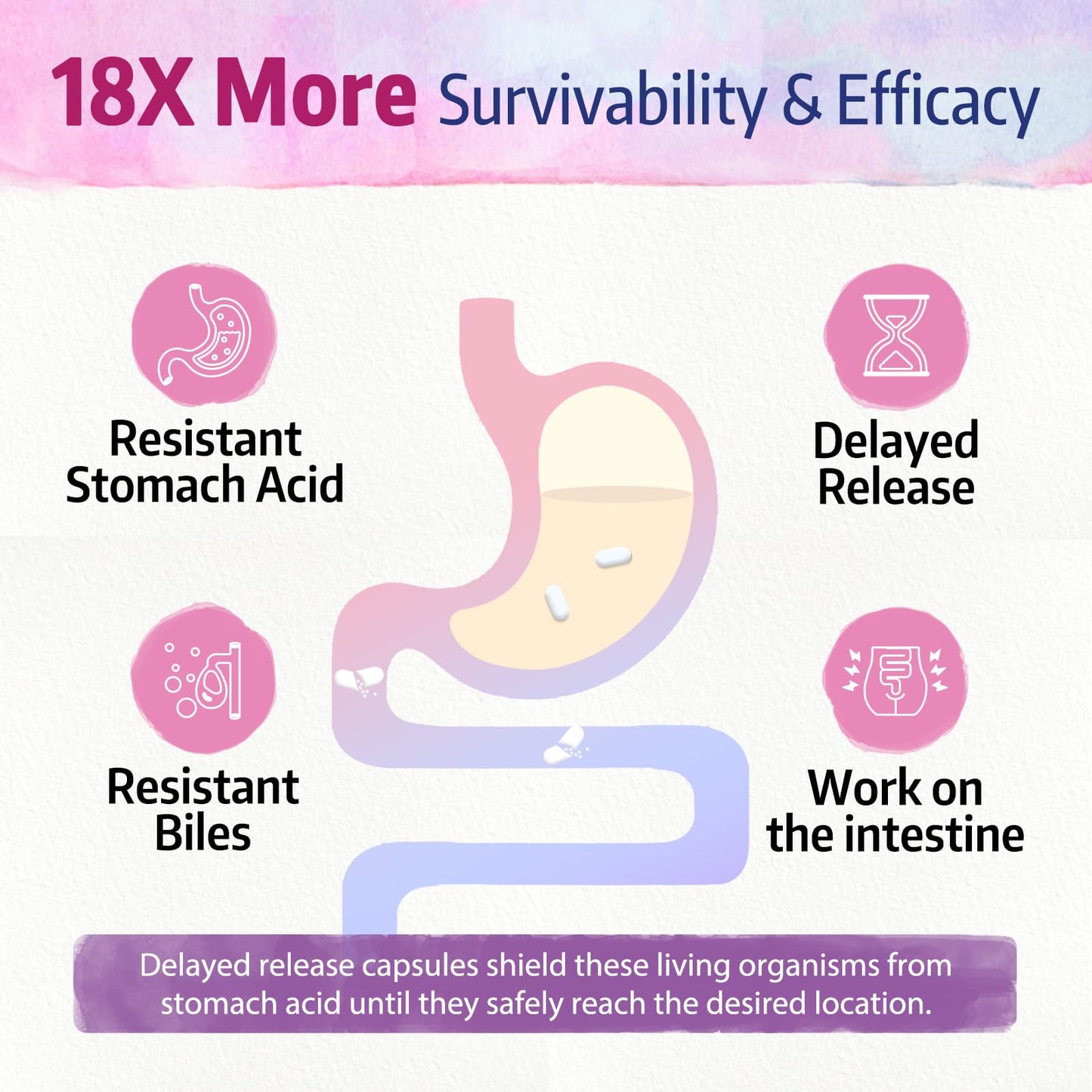 Bonawell Probiotics for Women 100B Capsule 30 Count