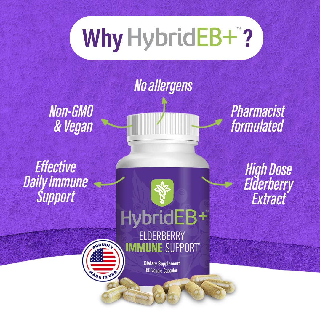 Hybrid Sambucus Elderberry Immune Support Supplement Capsule, 60 Count