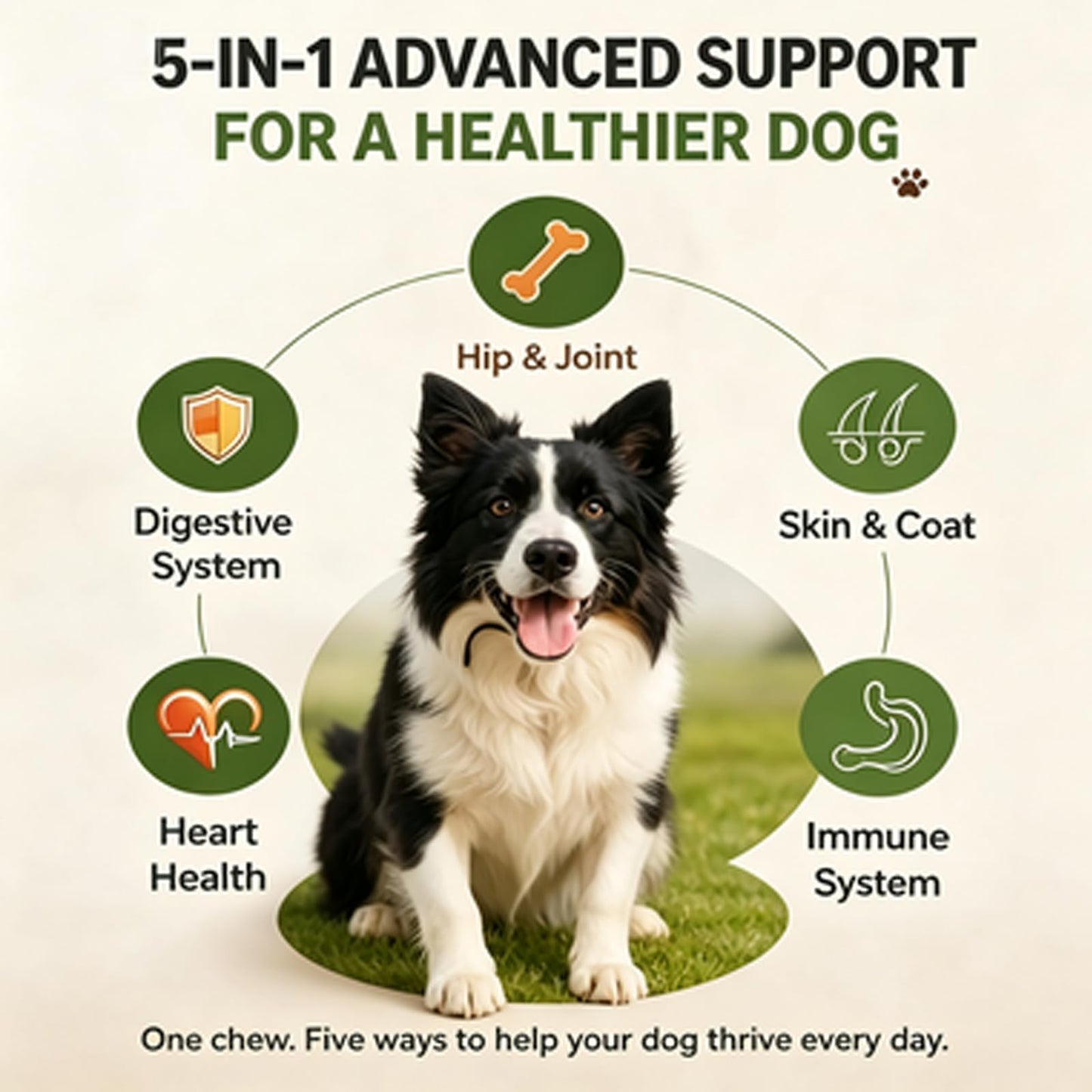 Pupganics Multivitamin Daily Soft Chews, Chicken Flavor, 60 Soft Chews