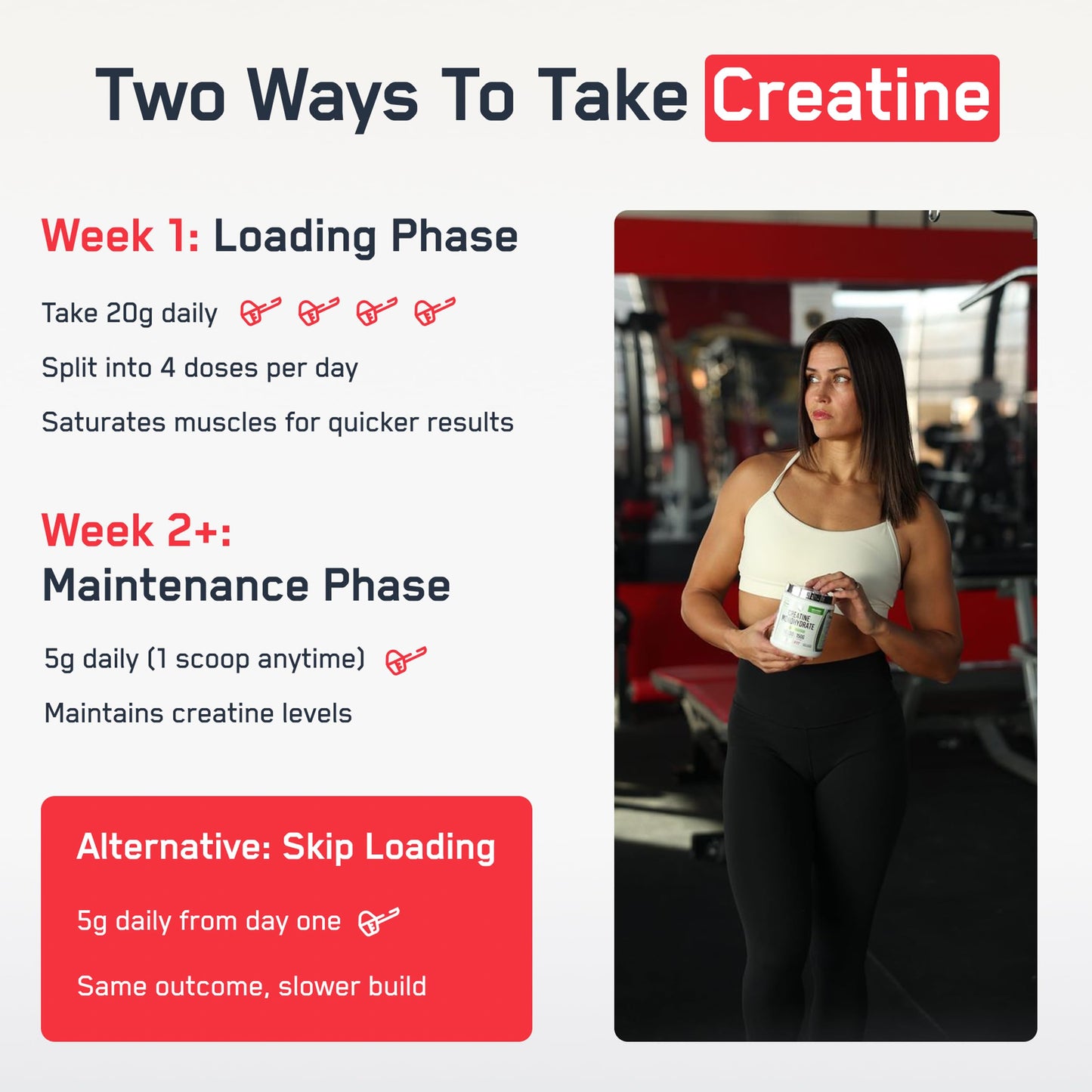 SteelFit Creapure Pure Creatine Monohydrate Powder, 6 oz