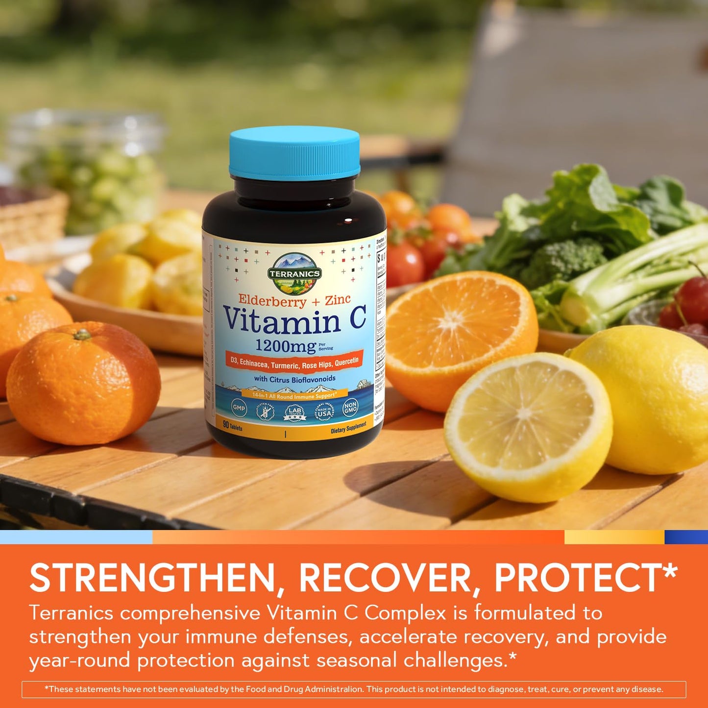 Terranics Vitamin C Elderberry Zinc with Vitamin D3 A B6 B12 Folate Rose Hips Citrus Bioflavonoids Turmeric Echinacea 14-in-1 Daily Immune Support, 90 Tablets