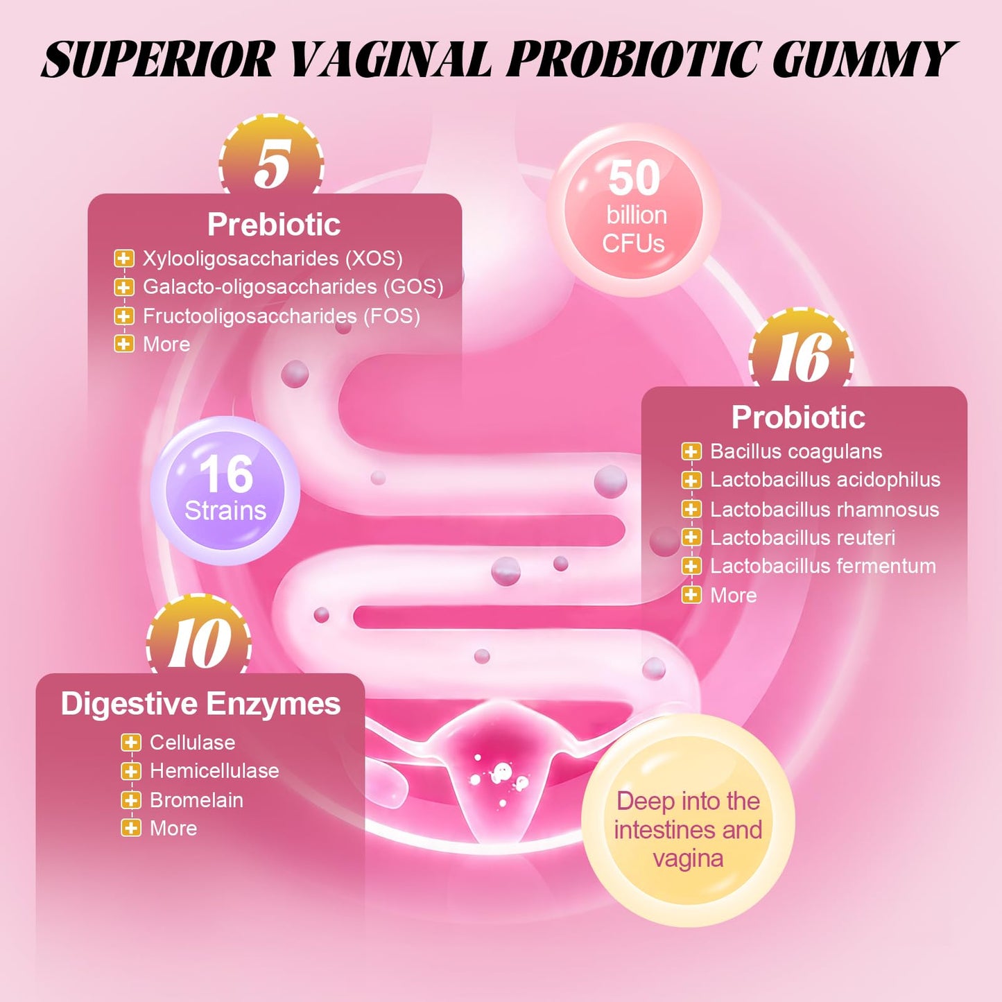 Totaria Sugar Free Probiotics for Women, Feminine Balance Gummies, 60 Count