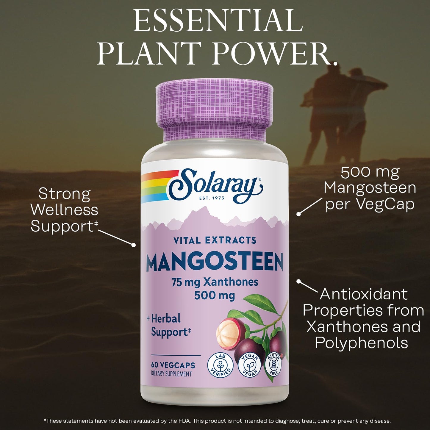 Solaray Mangosteen 500mg Capsules, 60 Capsules