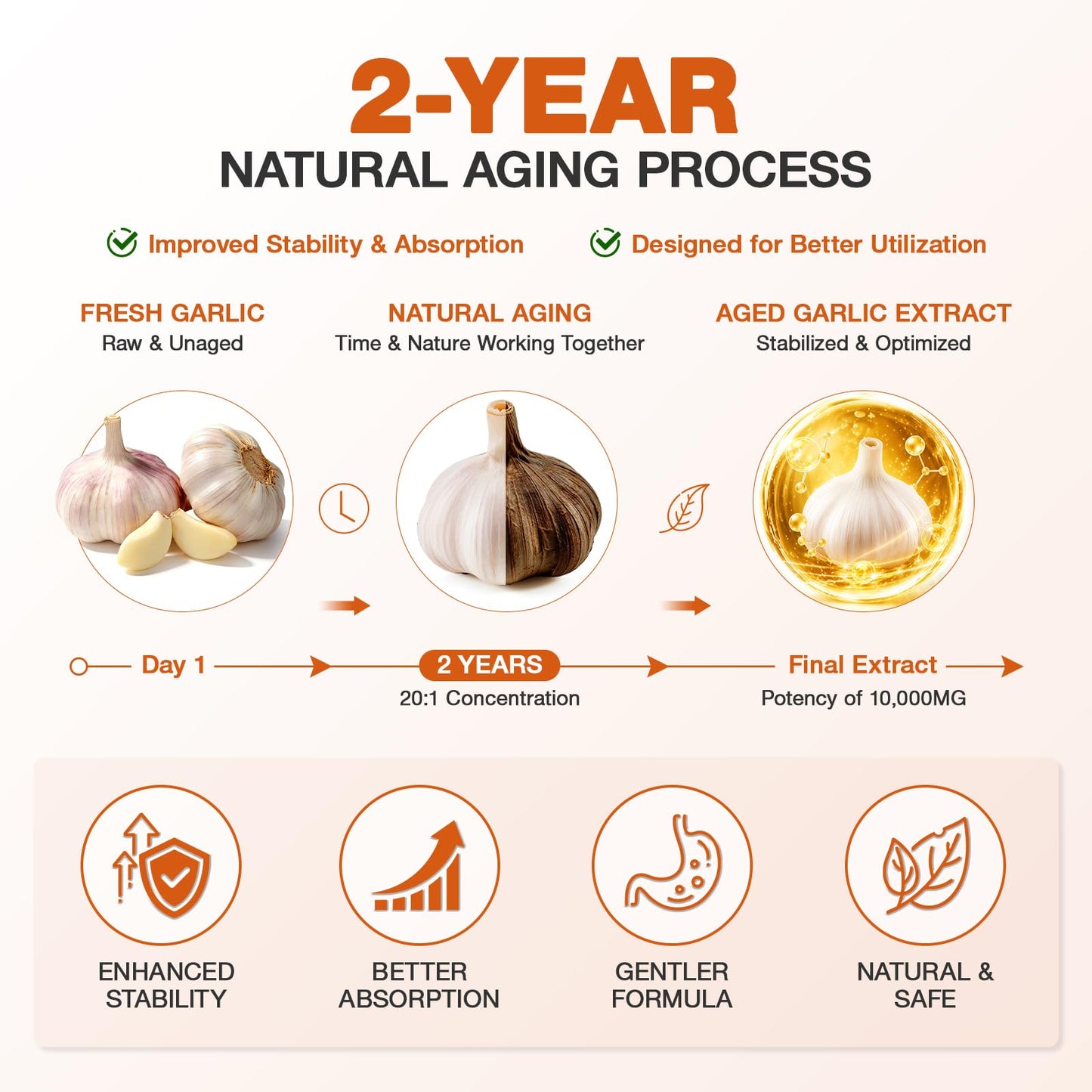 GRNSECVE Aged Garlic Extract Softgels 300